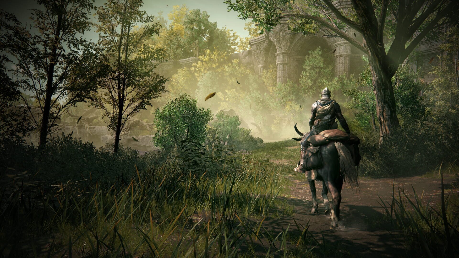 Screenshot for Elden Ring: Shadow of the Erdtree