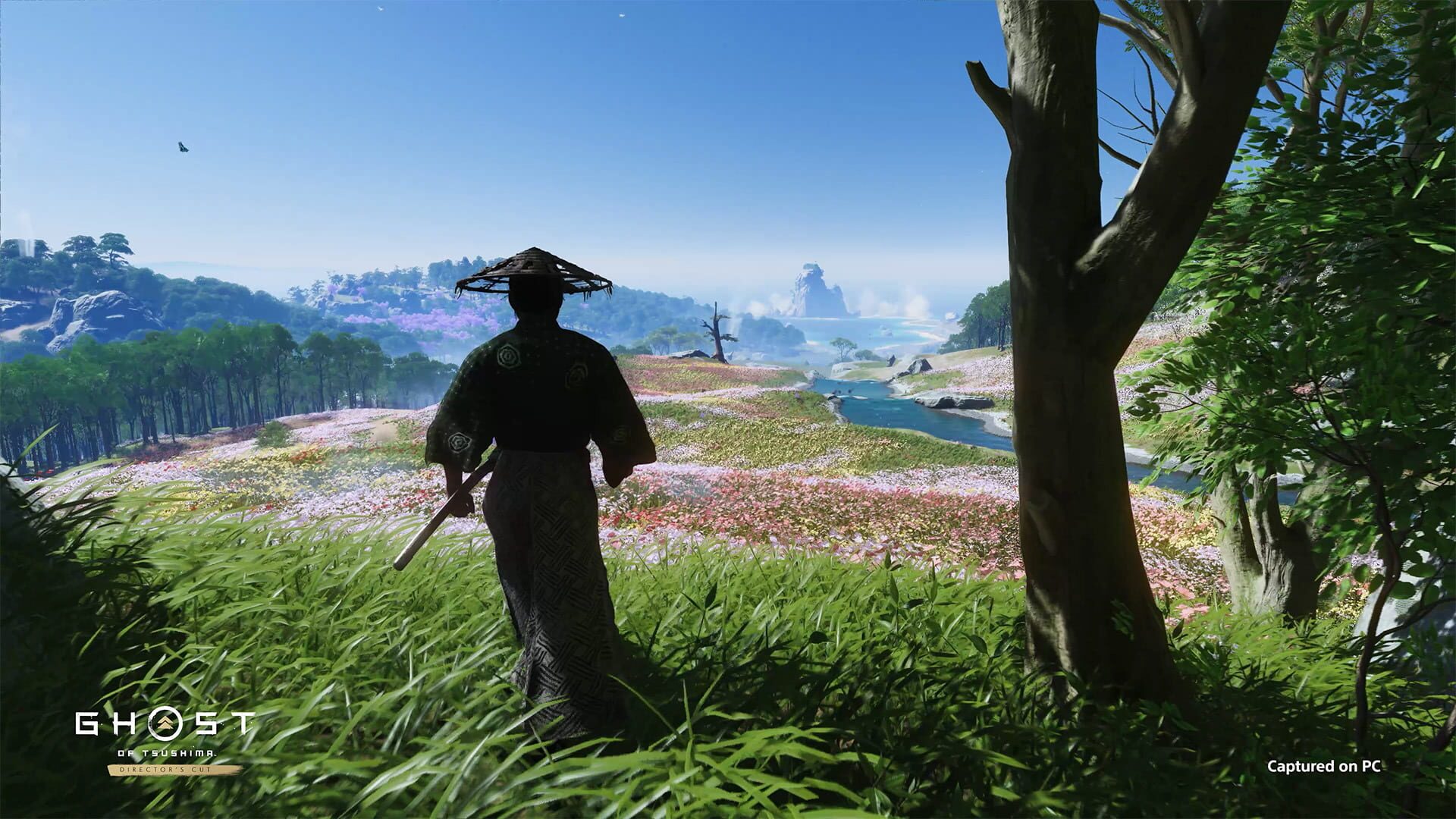 Screenshot for Ghost of Tsushima: Director's Cut