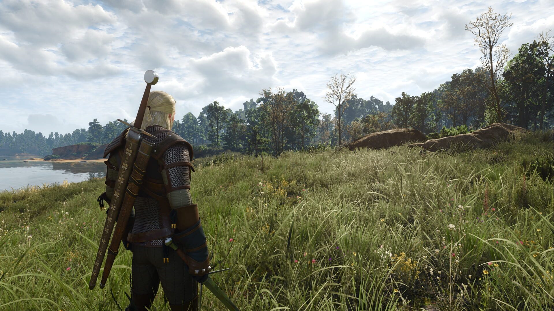 Screenshot for The Witcher 3: Wild Hunt