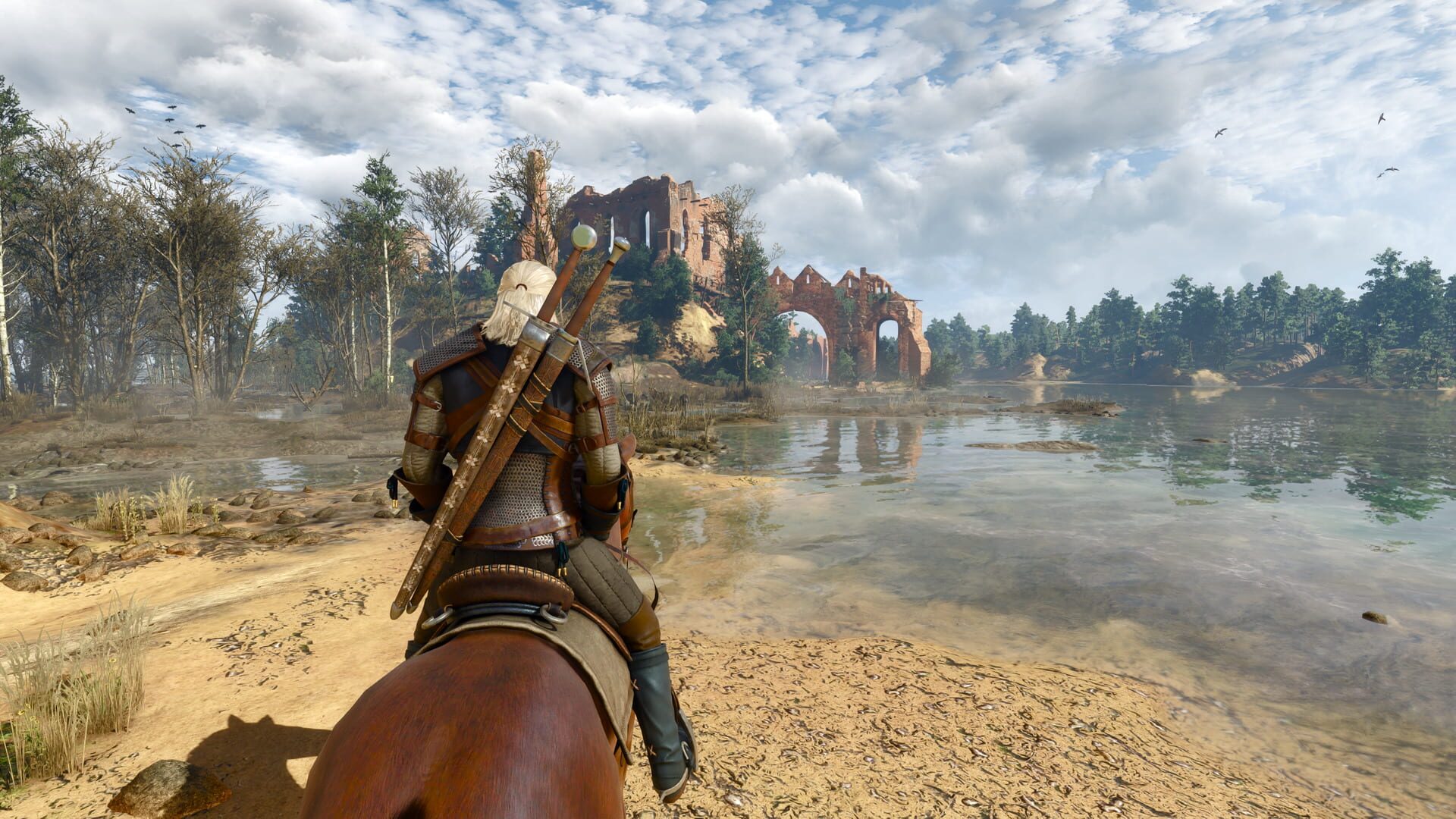 Screenshot for The Witcher 3: Wild Hunt