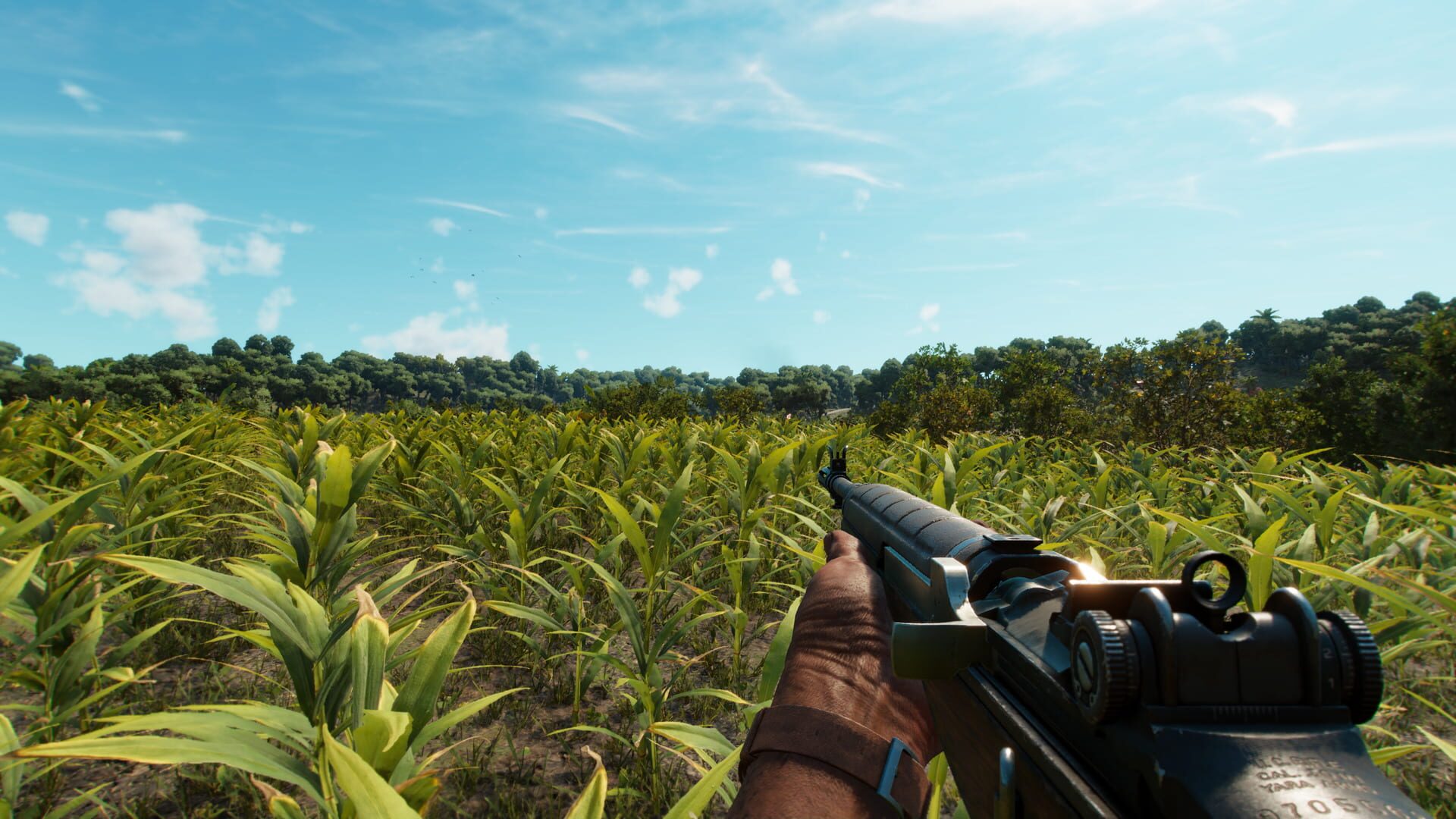 Screenshot for Far Cry 6