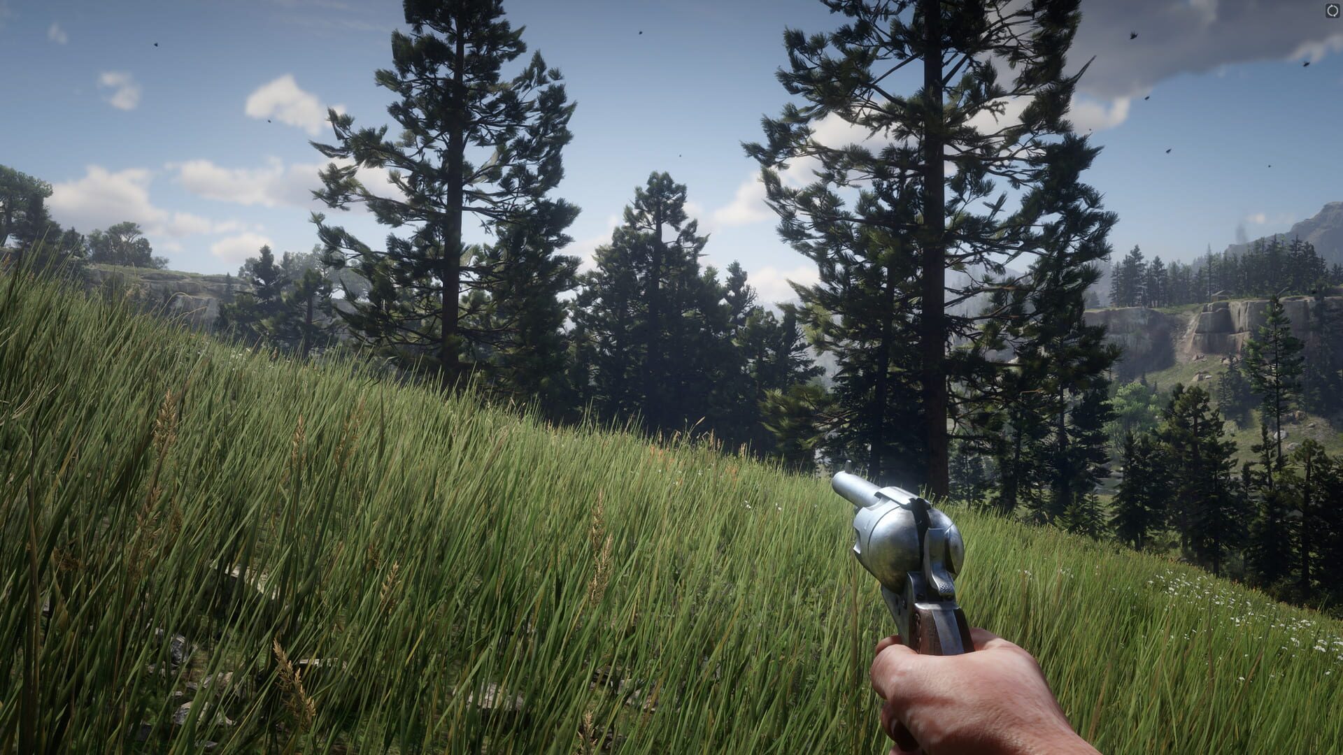 Screenshot for Red Dead Redemption 2