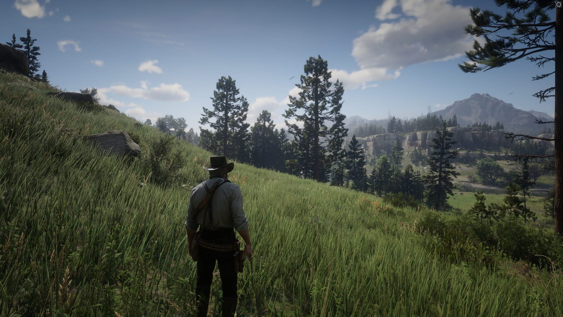 Screenshot for Red Dead Redemption 2