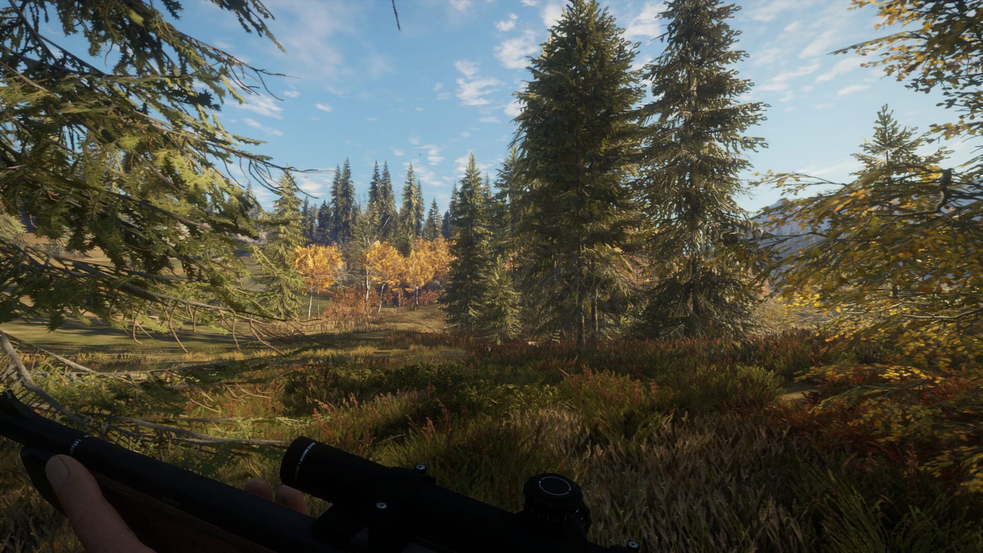 Screenshot for TheHunter: Call of the Wild