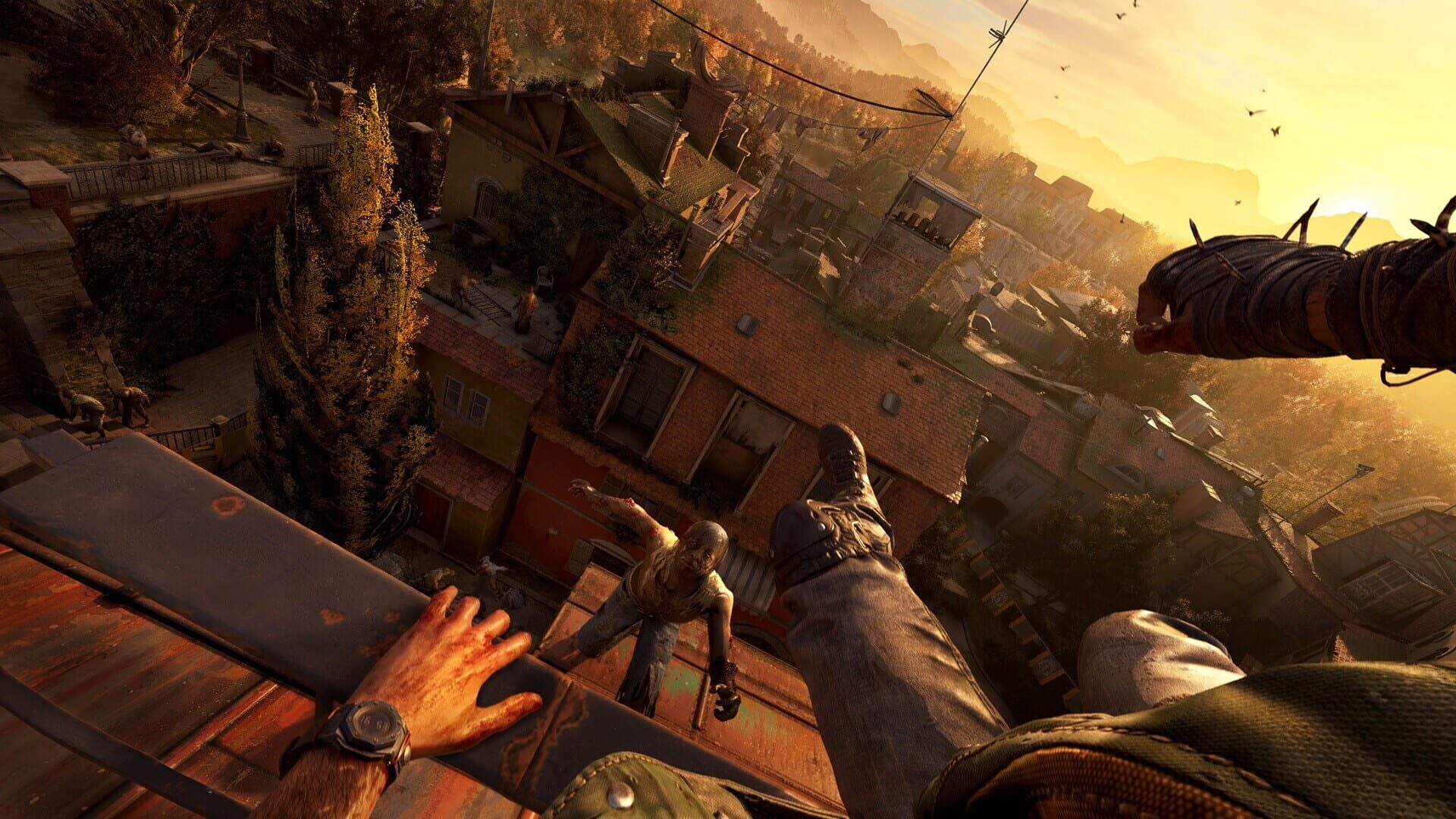 Screenshot for Dying Light: The Beast