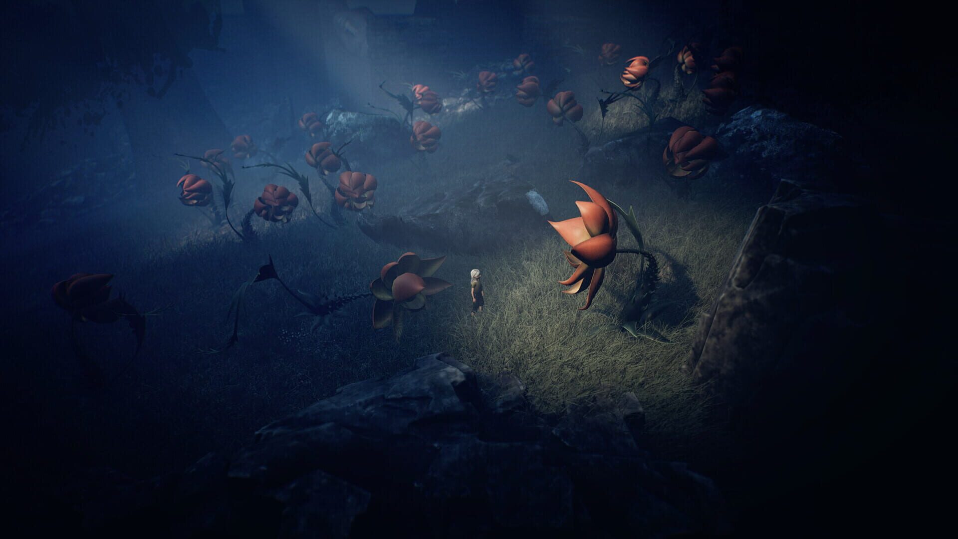 Screenshot for Ayasa: Shadows of Silence