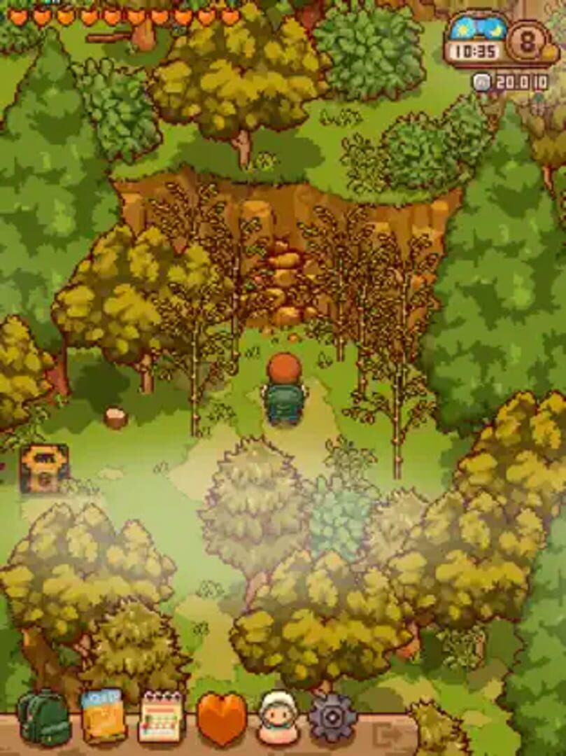 Screenshot for Japanese Rural Life Adventure