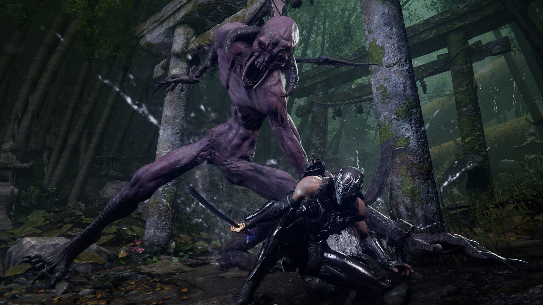 Screenshot for Ninja Gaiden 4