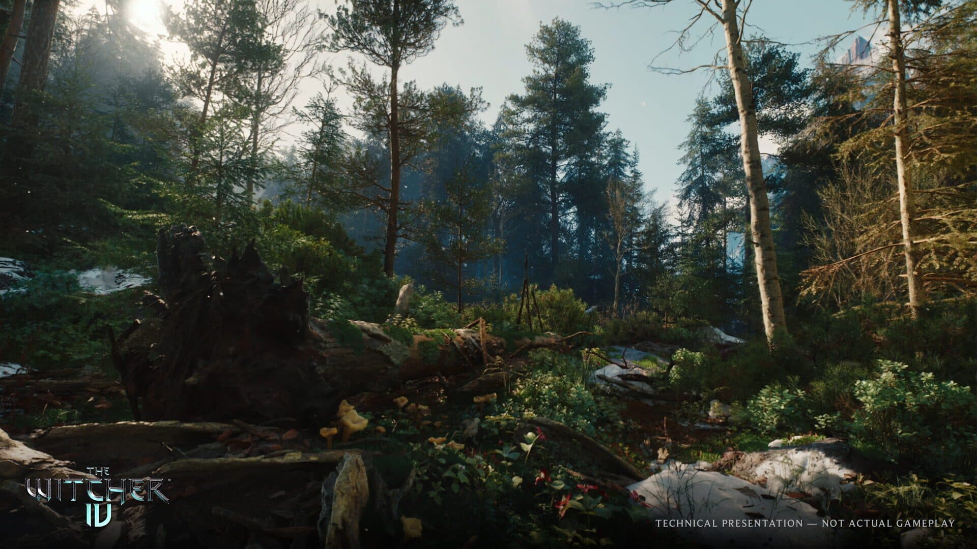Screenshot for The Witcher IV
