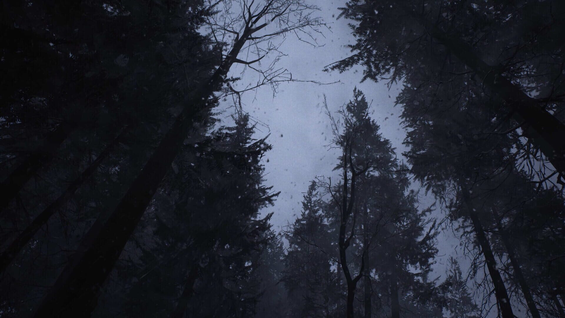 Screenshot for Whispers in the Fog