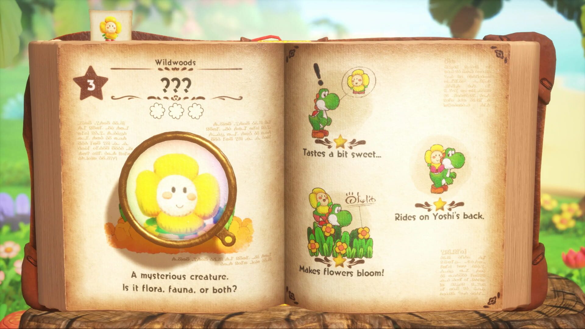 Screenshot for Yoshi and the Mysterious Book