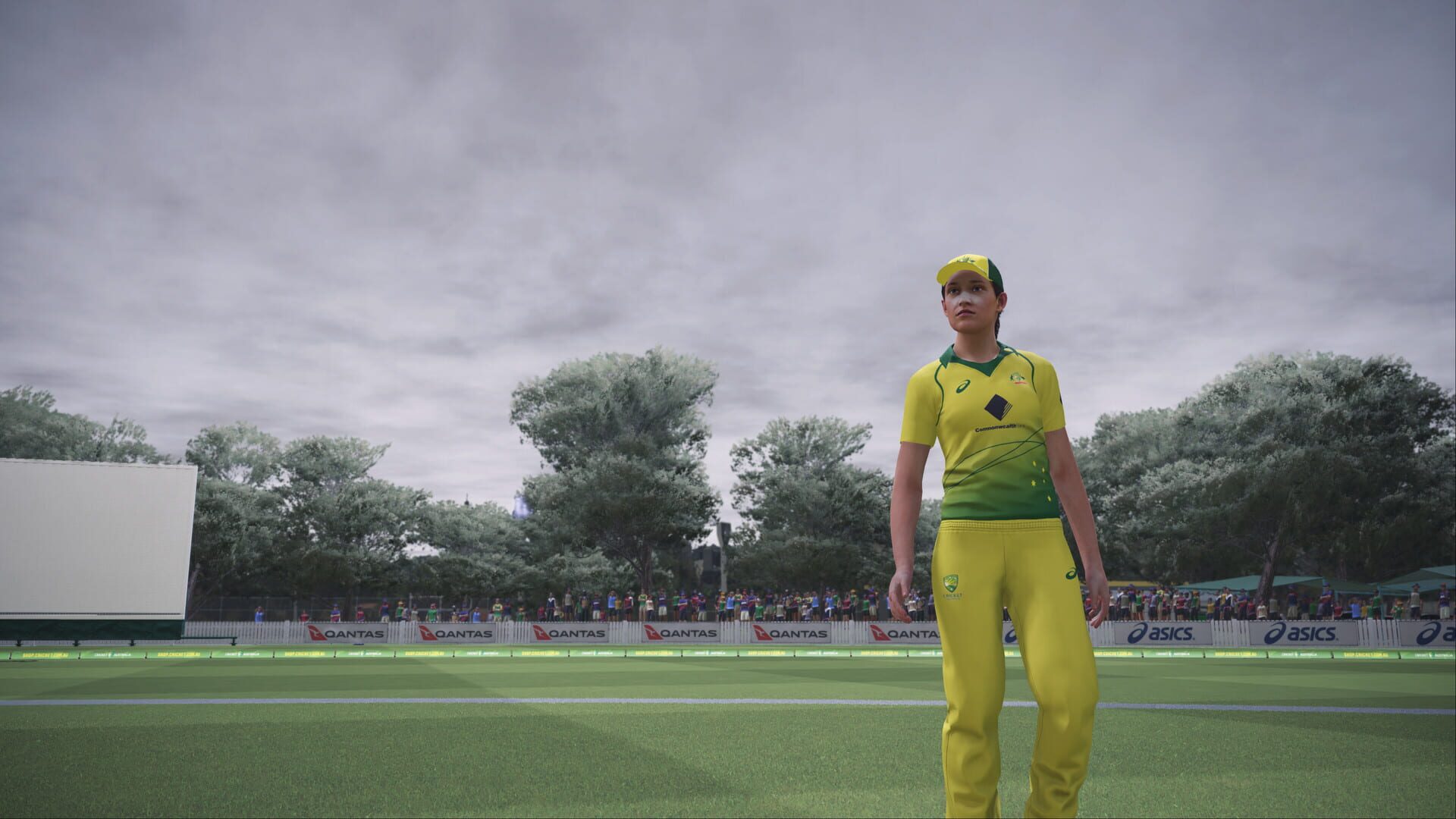 Screenshot for Ashes Cricket