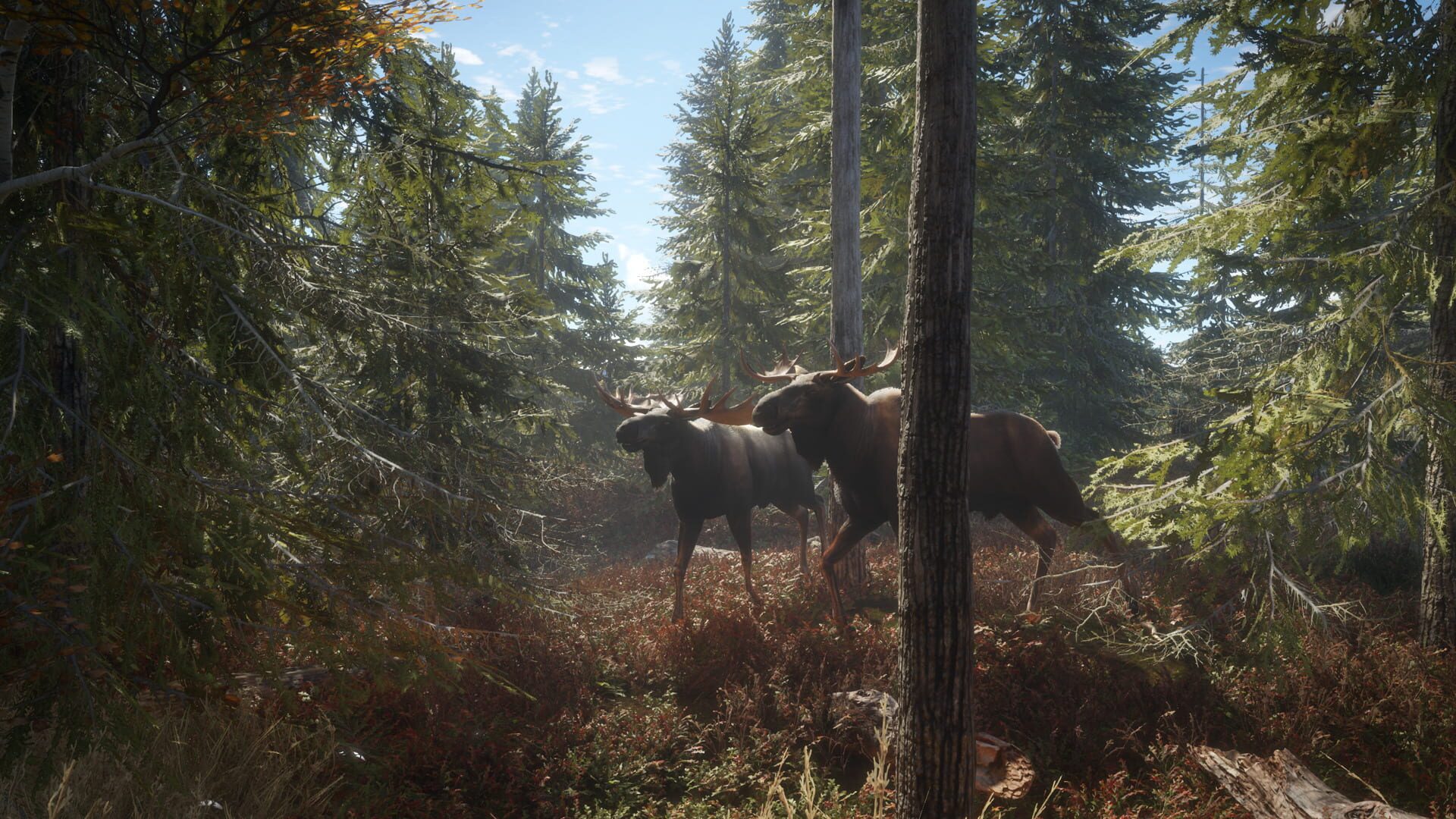 Screenshot for TheHunter: Call of the Wild