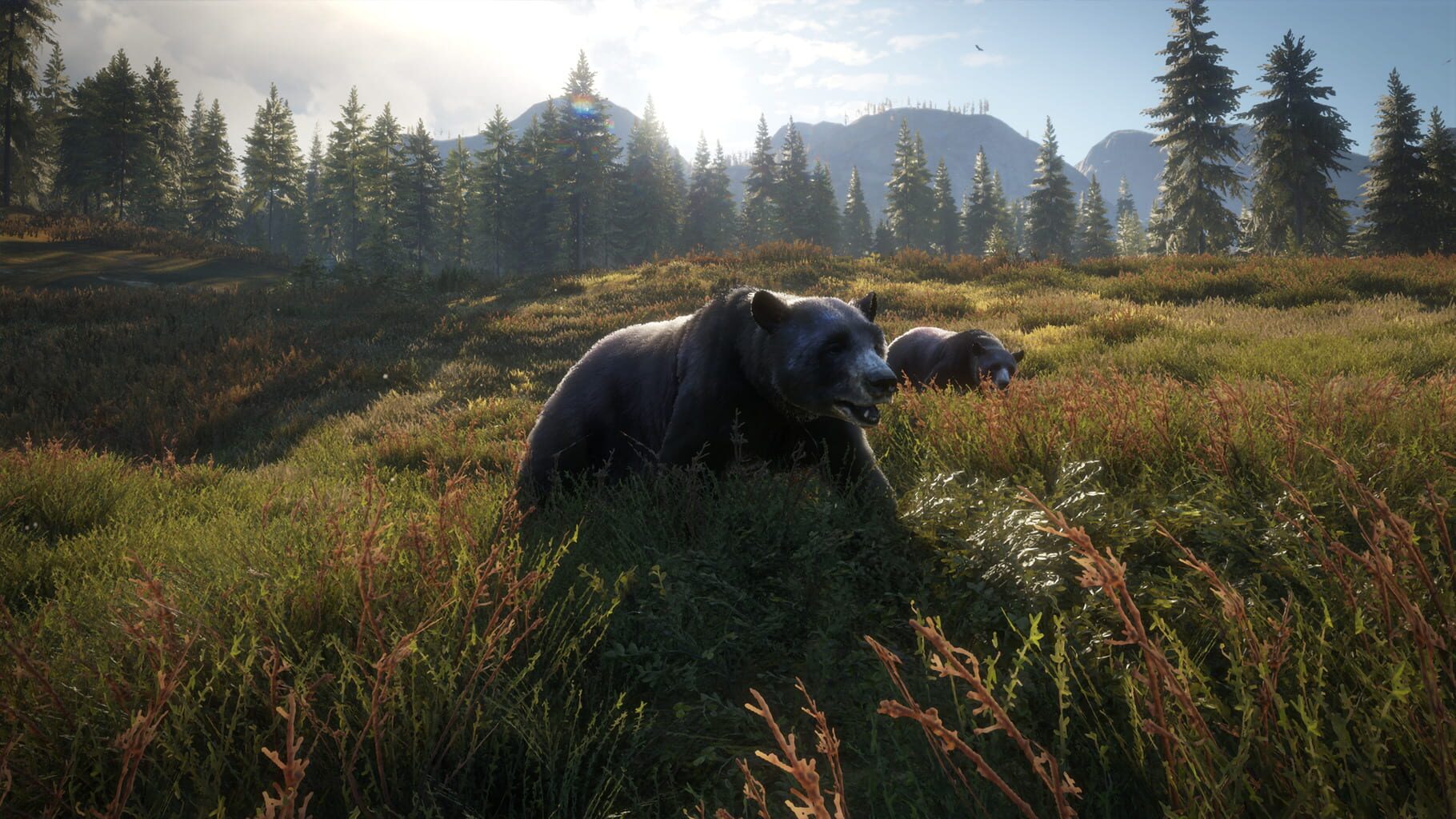 Screenshot for TheHunter: Call of the Wild