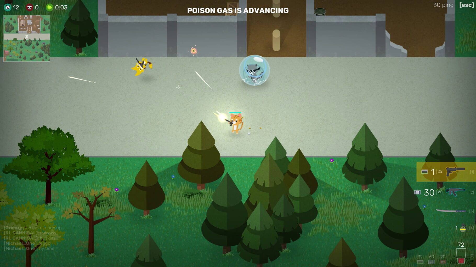 Screenshot for Super Animal Royale