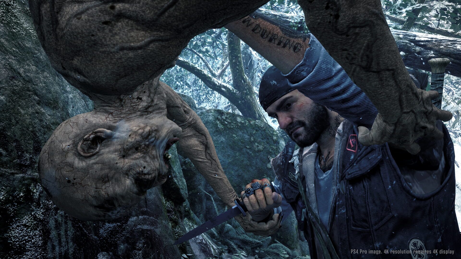 Screenshot for Days Gone