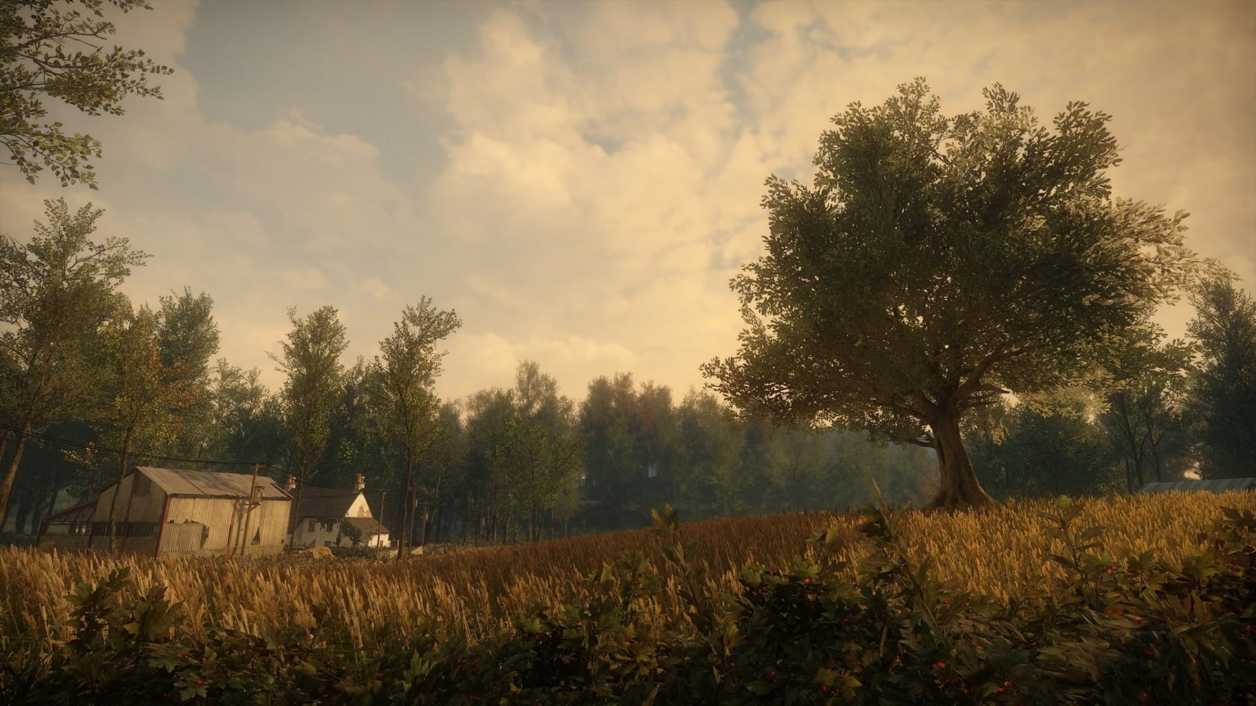 Screenshot for Everybody's Gone to the Rapture