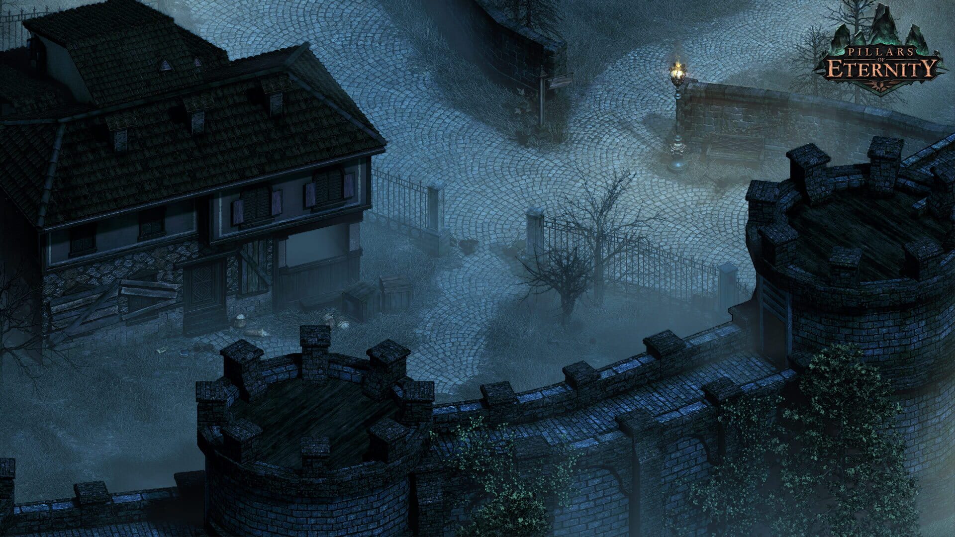 Screenshot for Pillars of Eternity