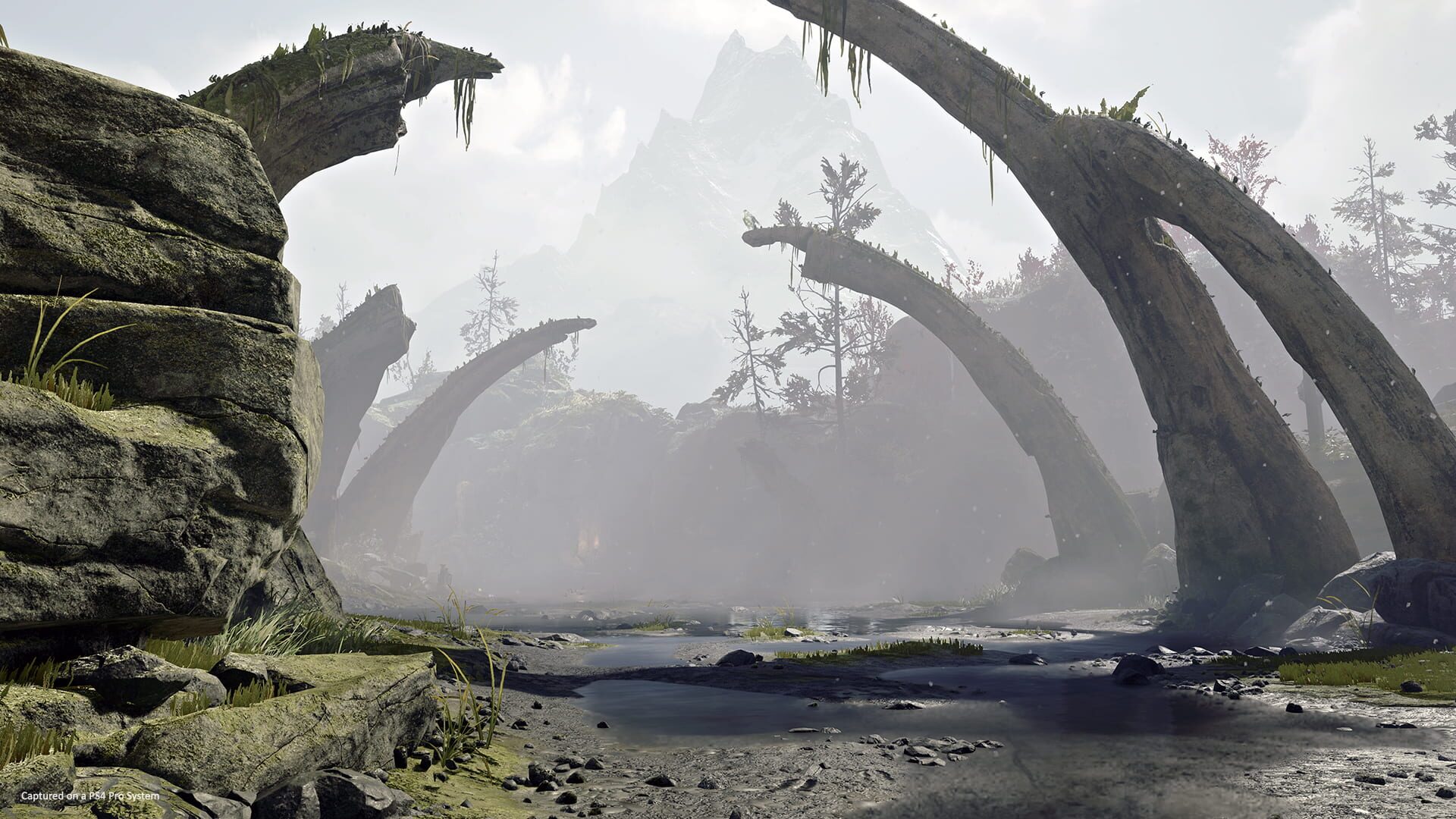 Screenshot for God of War