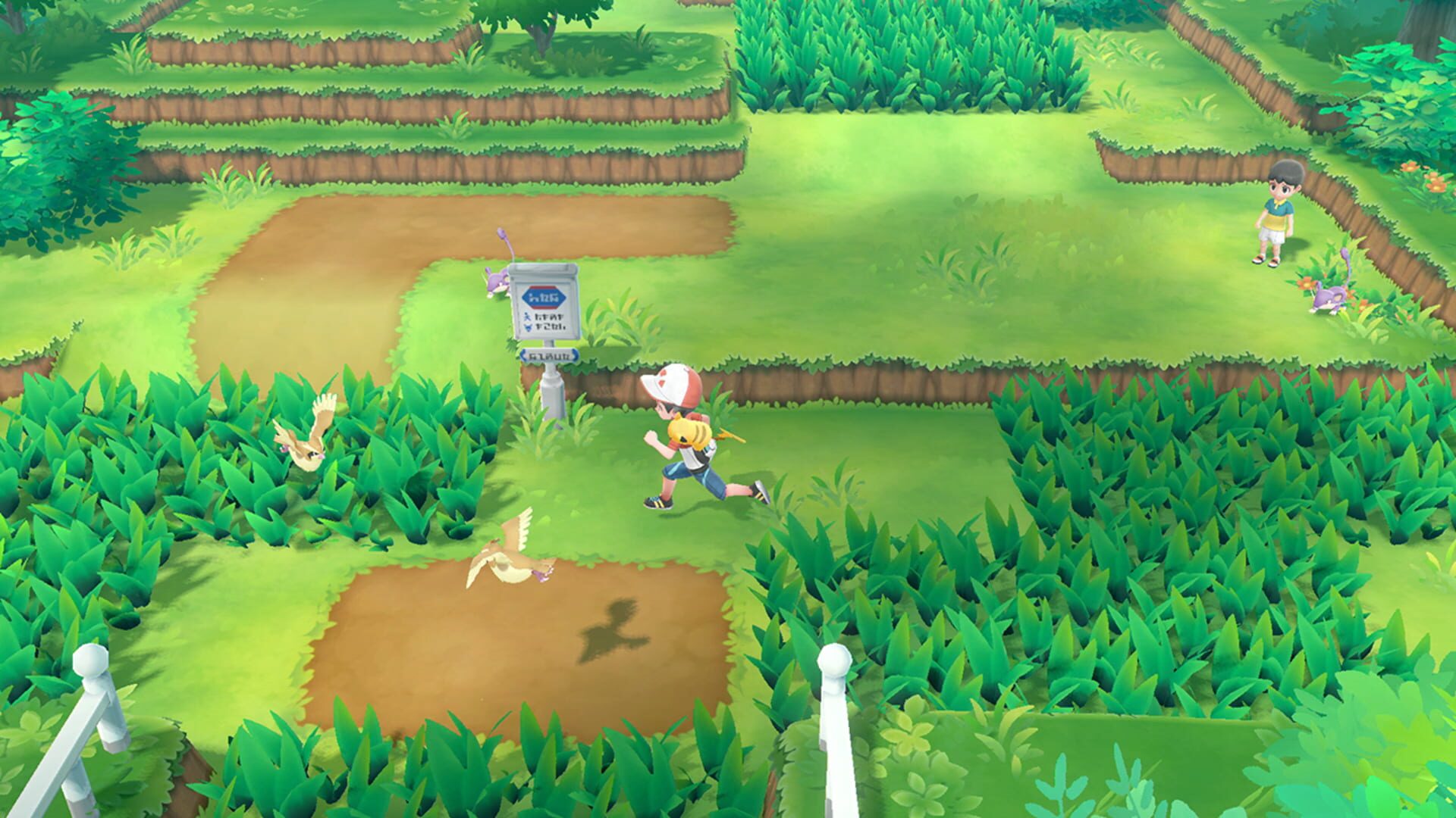 Screenshot for Pokémon: Let's Go, Pikachu!