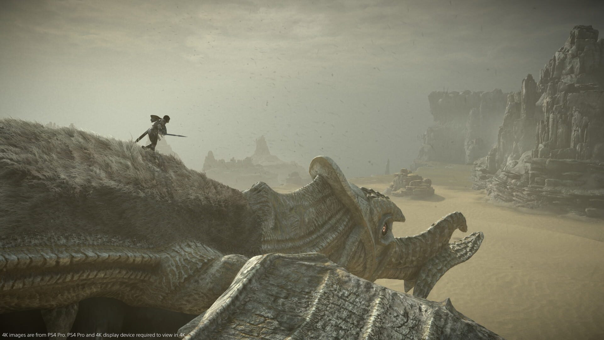 Screenshot for Shadow of the Colossus