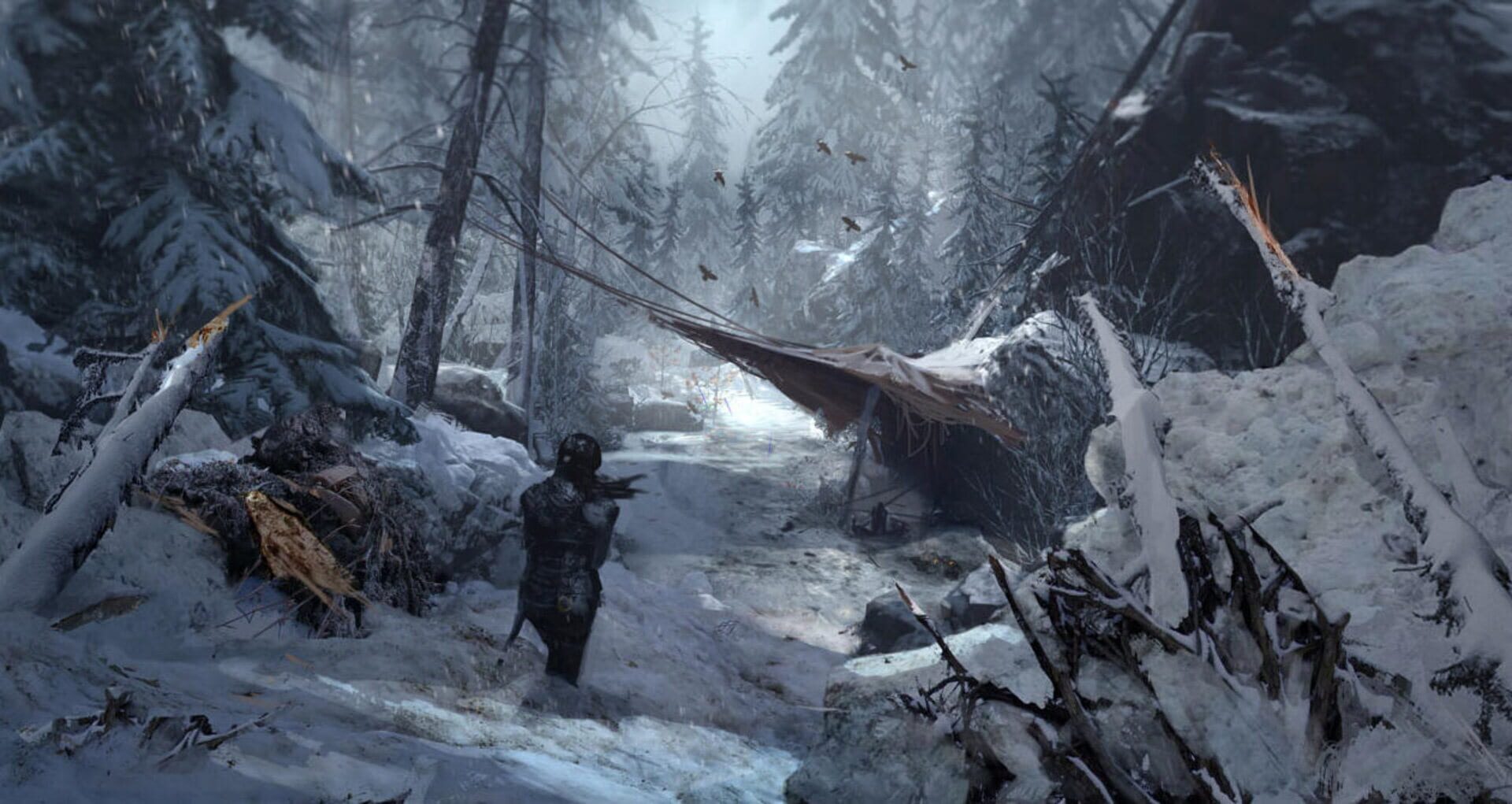 Artwork for Rise of the Tomb Raider