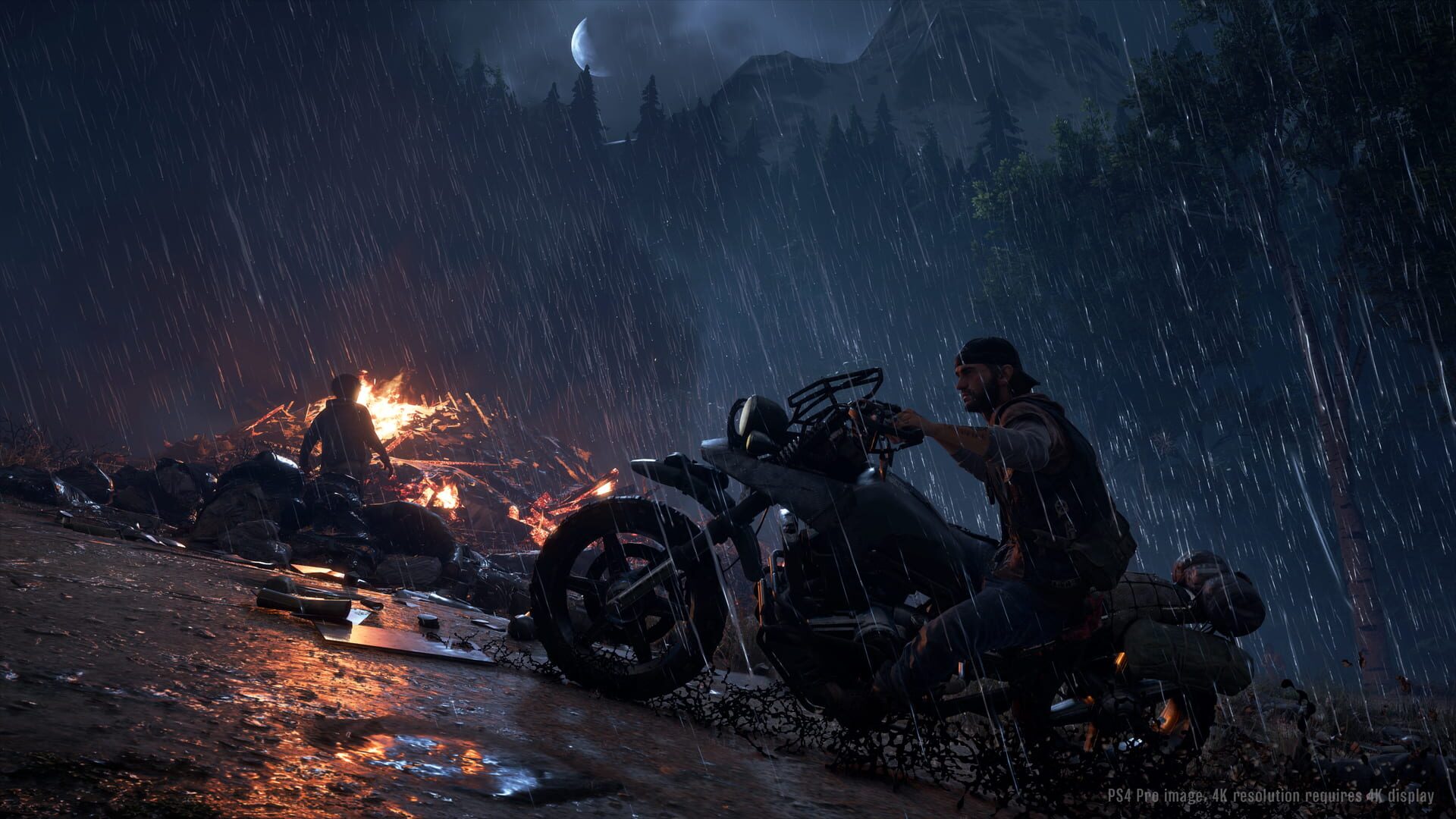 Screenshot for Days Gone