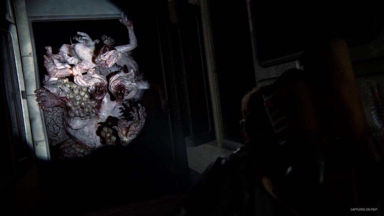 Screenshot for The Last of Us Part II Remastered