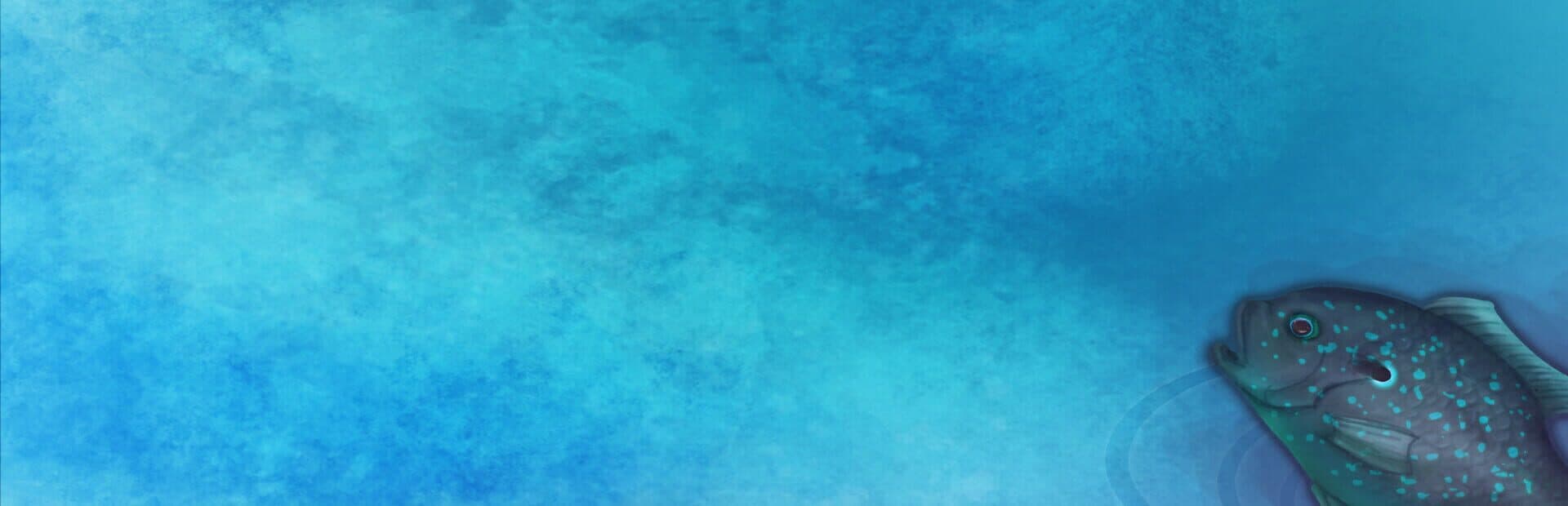 Artwork for Fishing Echoes