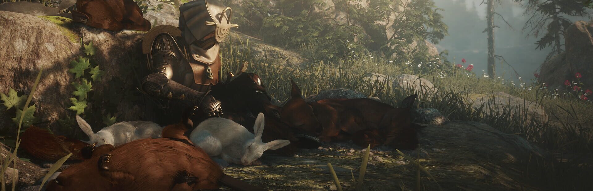 Artwork for Soulframe