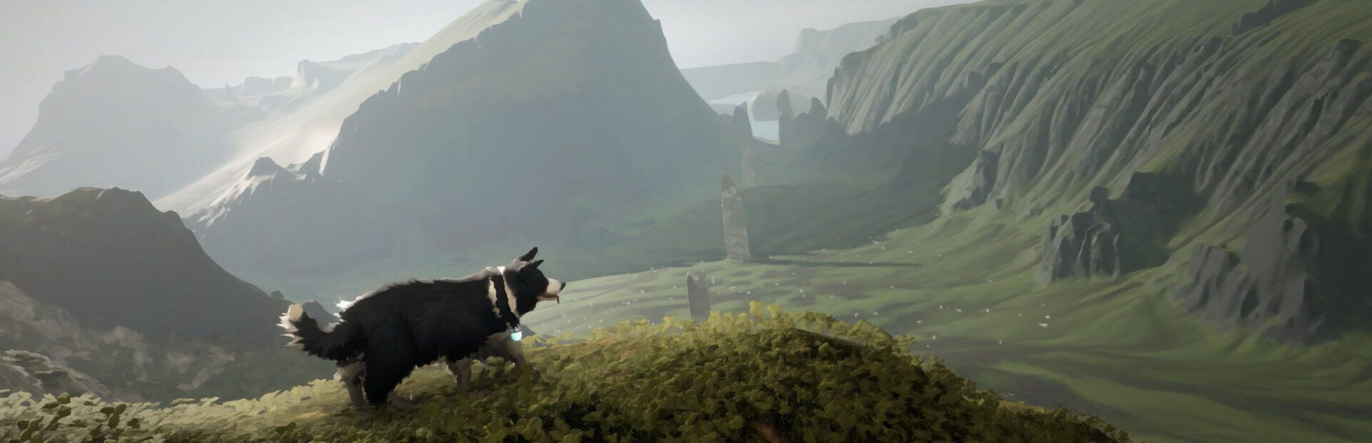 Artwork for The Free Shepherd