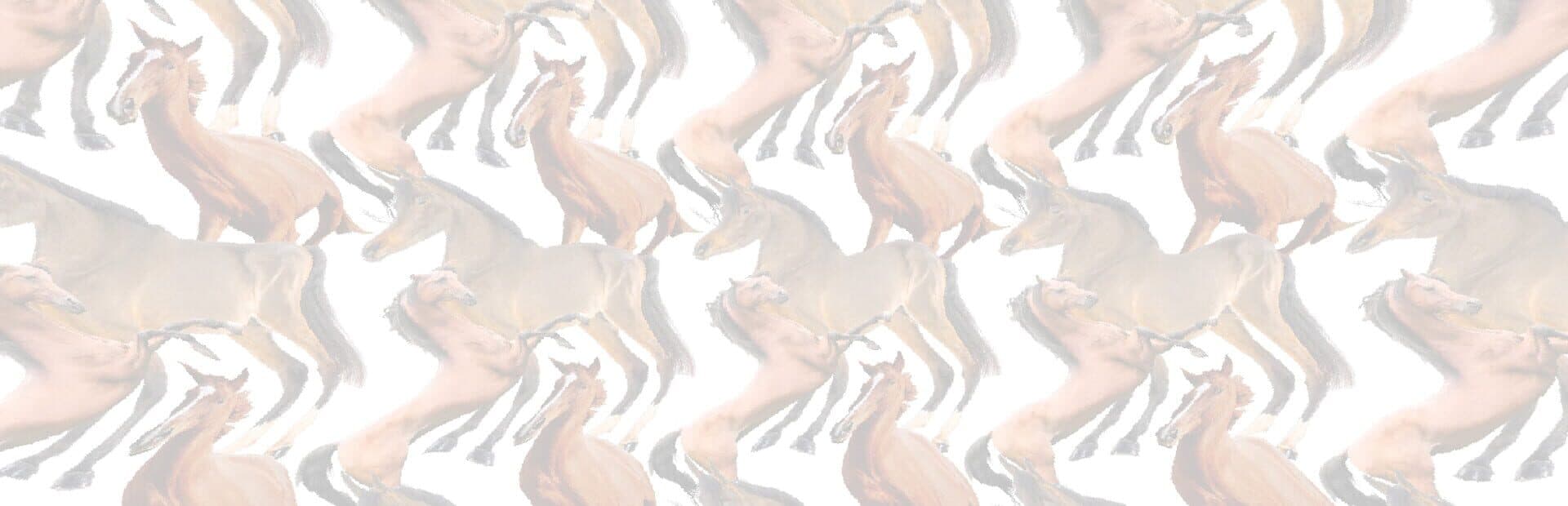 Artwork for Horse Magnifier: The Full Horse