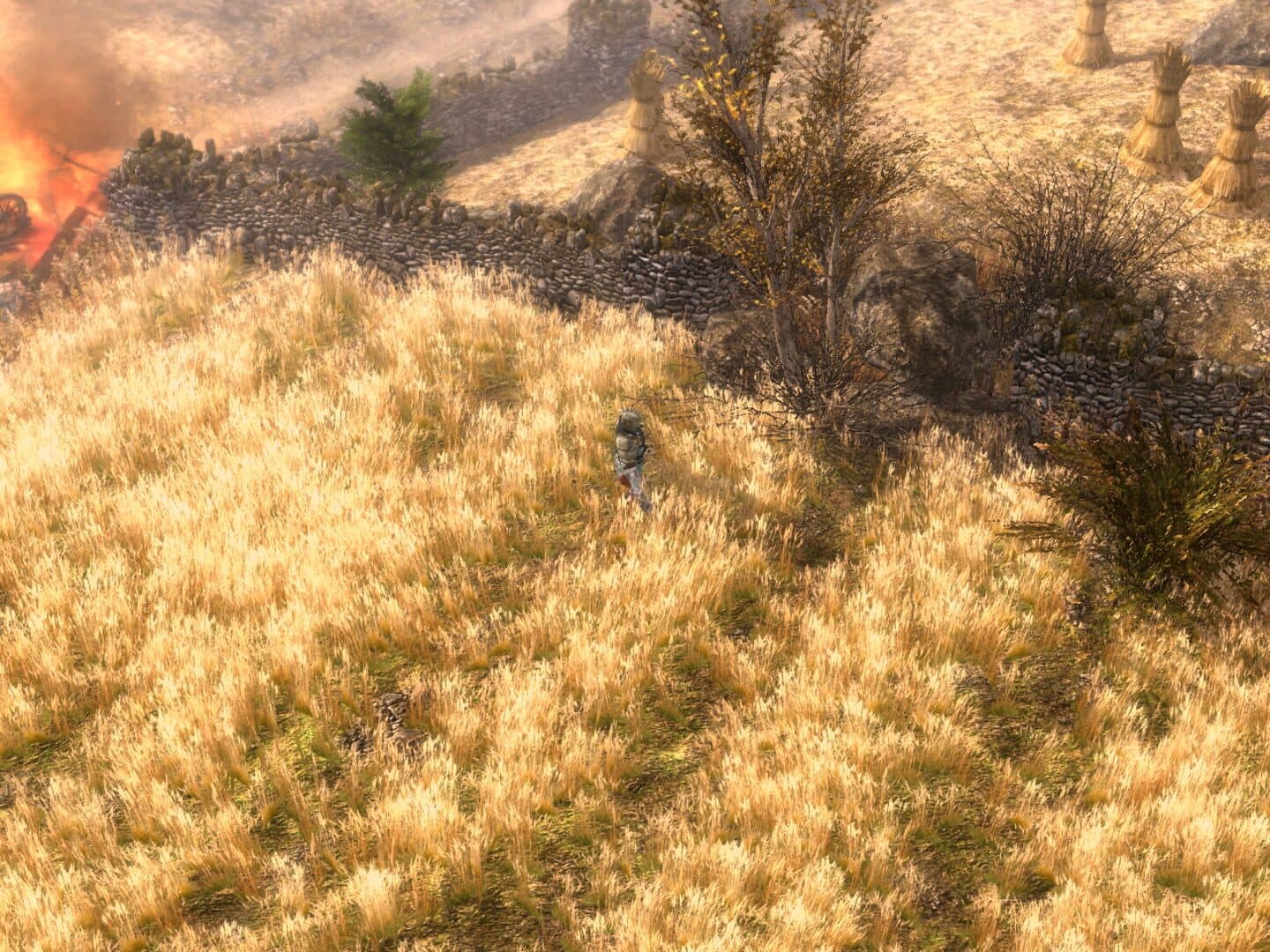 Screenshot for Grim Dawn