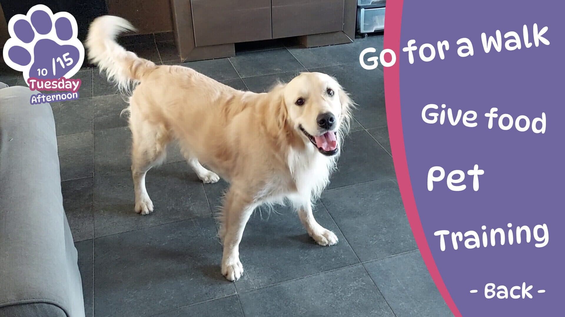 Screenshot for Golden Retriever Simple Life