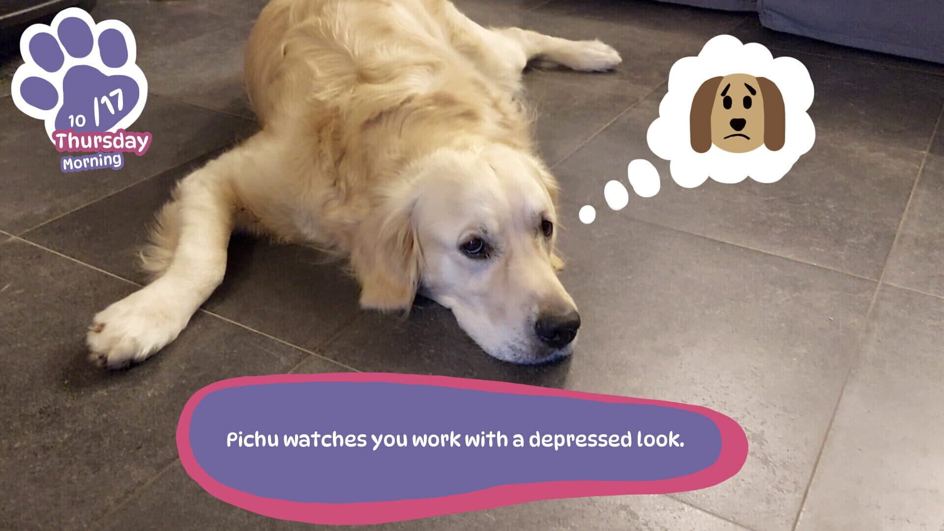 Screenshot for Golden Retriever Simple Life