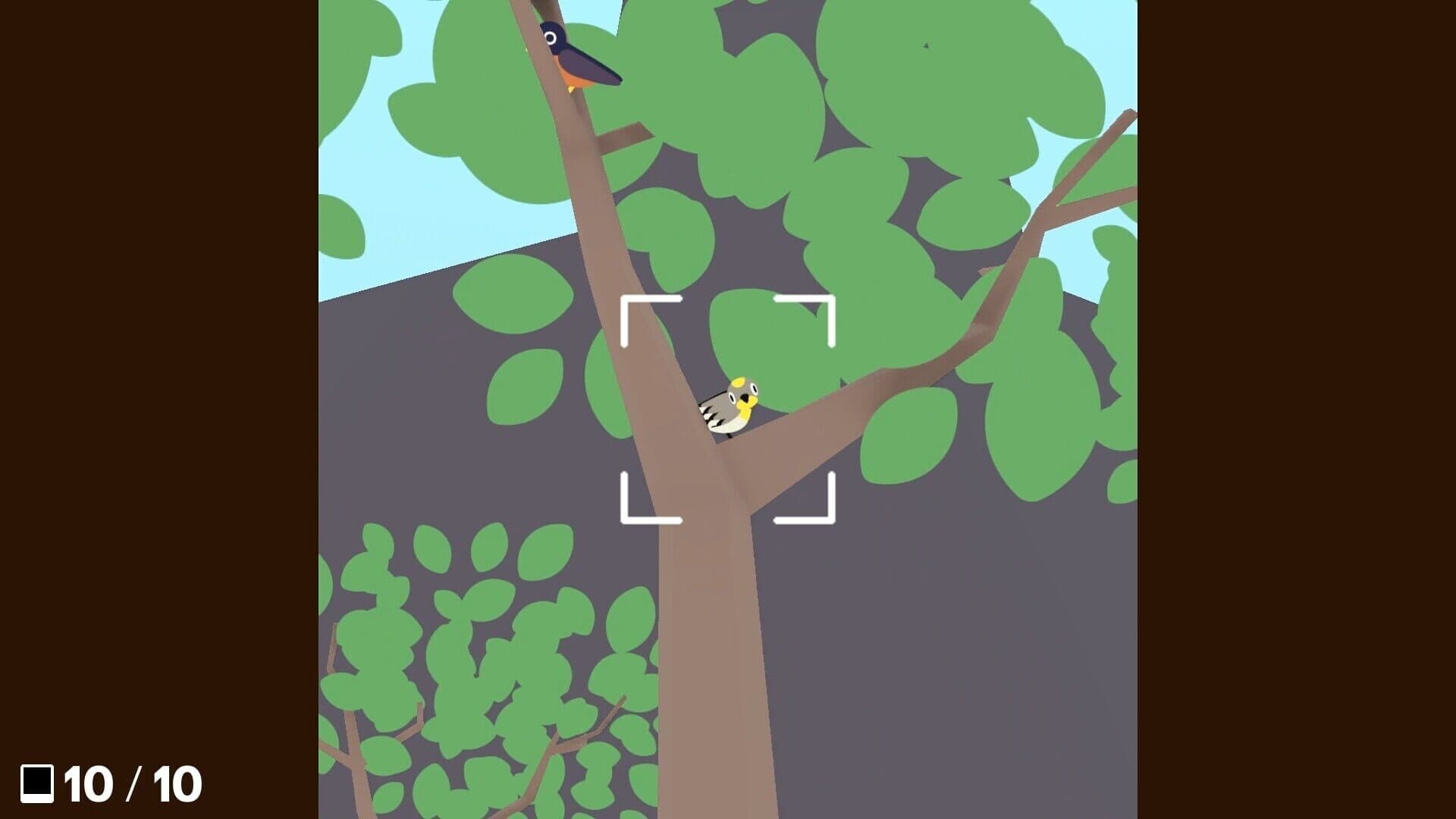 Screenshot for Flock Around