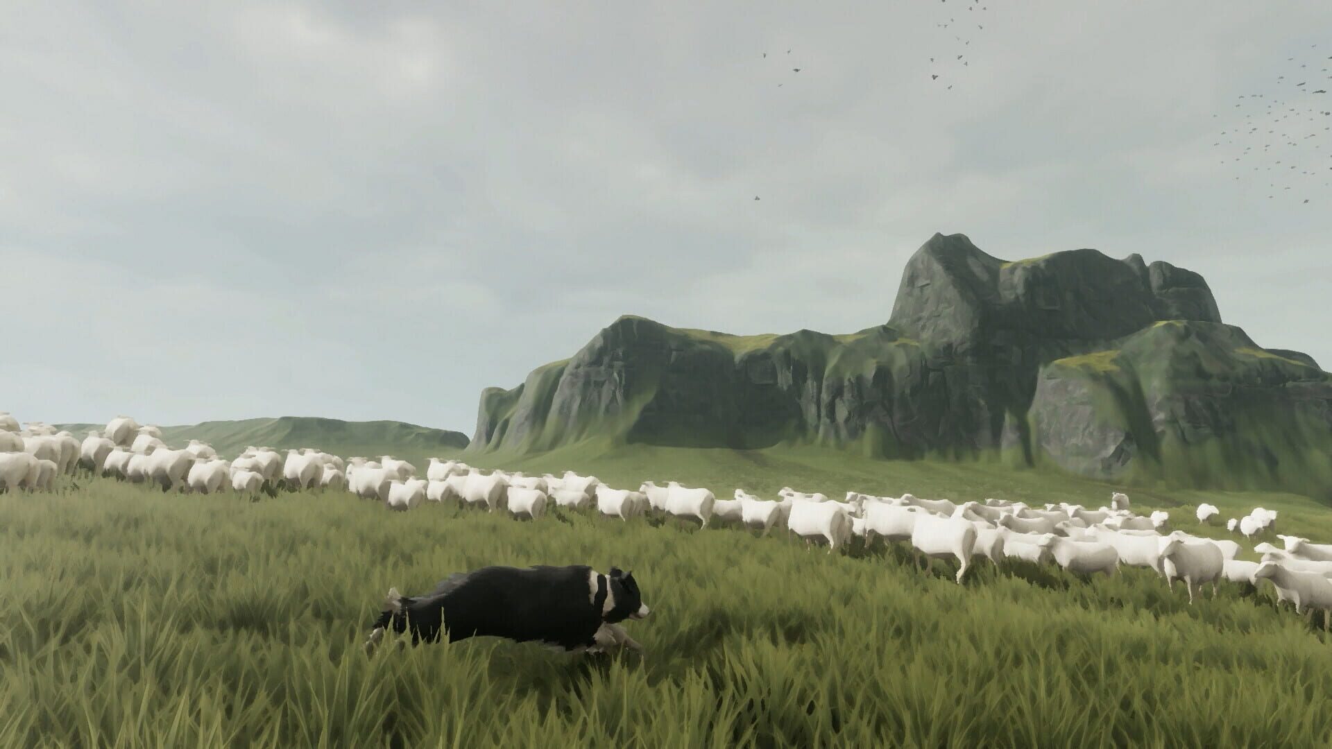 Screenshot for The Free Shepherd