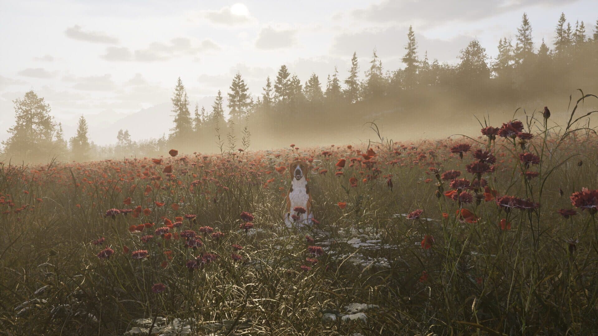Screenshot for Way of the Hunter 2