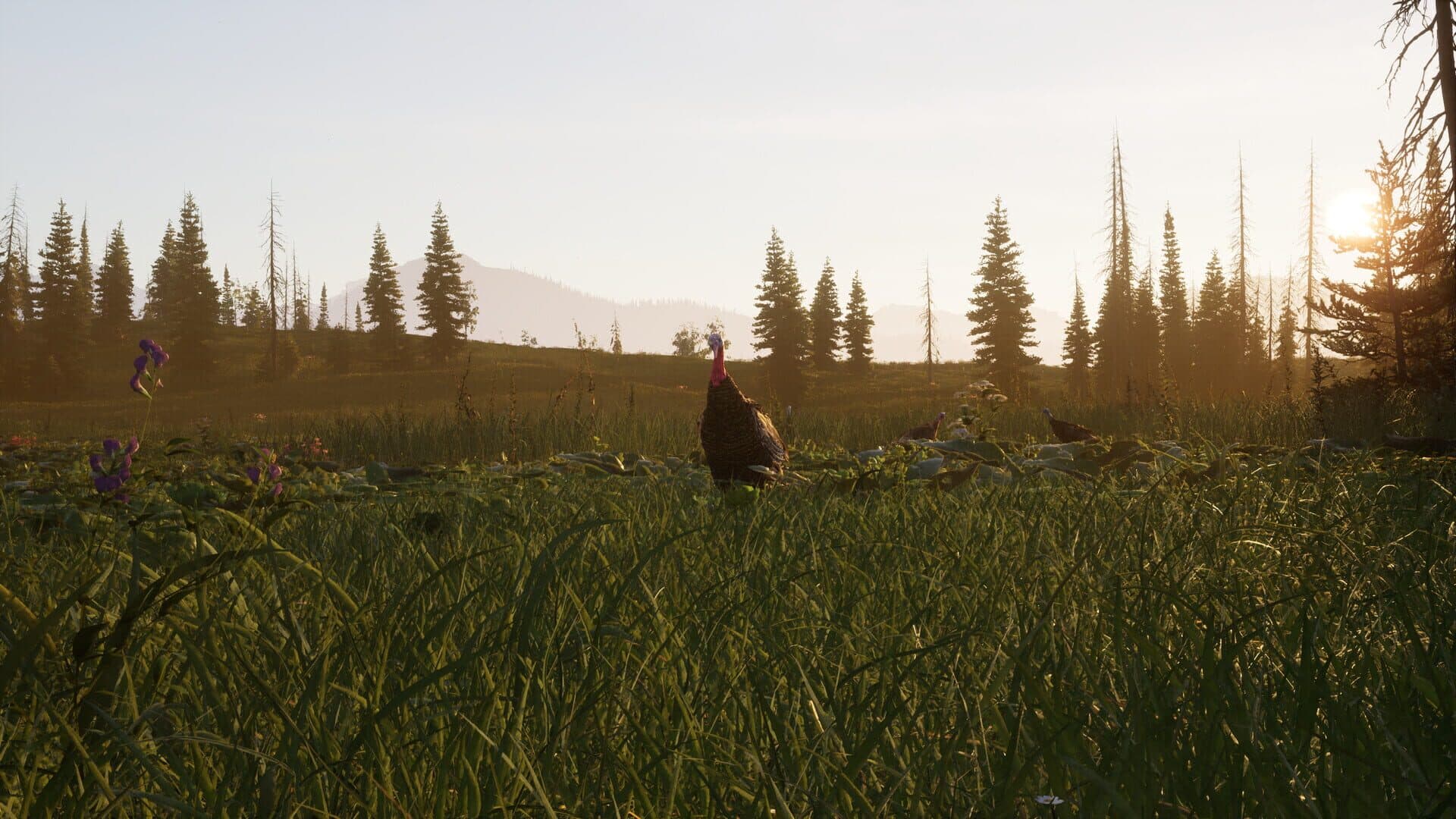 Screenshot for Way of the Hunter 2