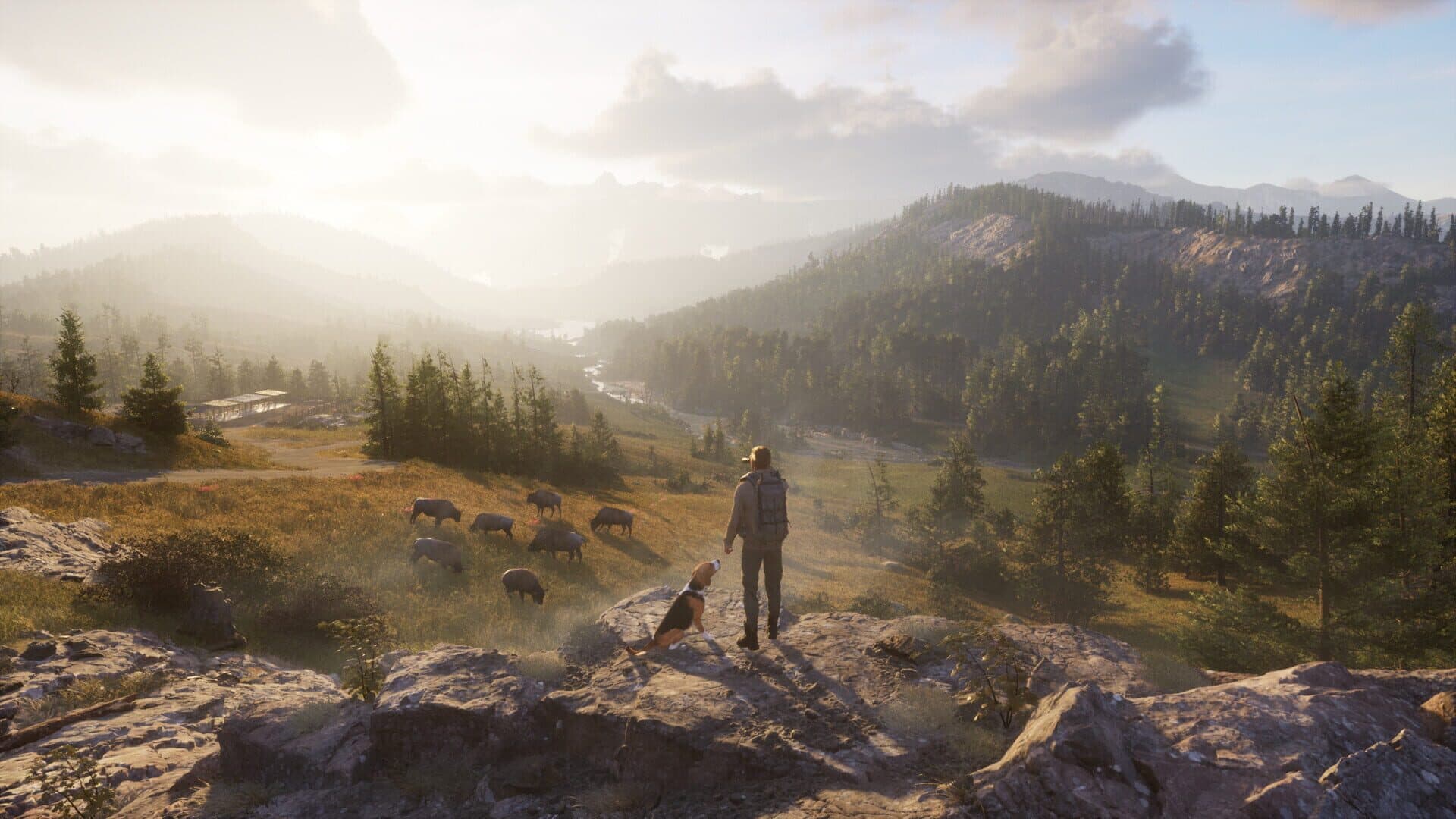 Screenshot for Way of the Hunter 2