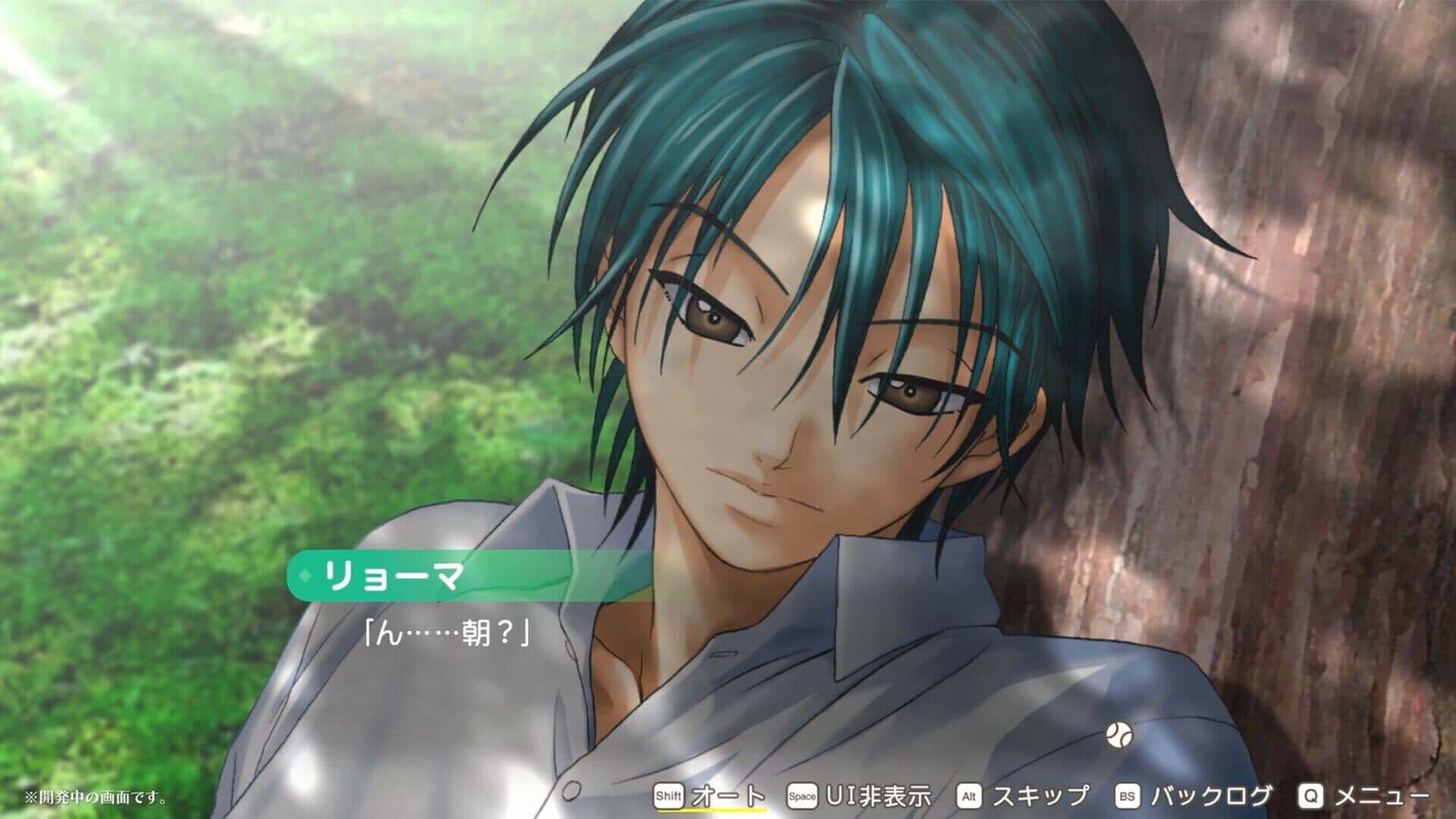 Screenshot for The Prince of Tennis: Sweet School Festival 0-40 and more…