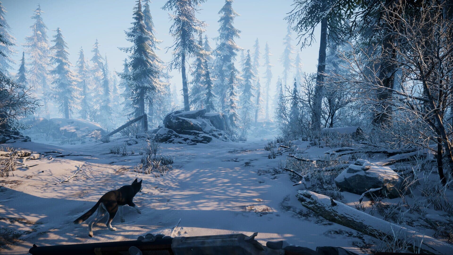 Screenshot for The Pale Mimic