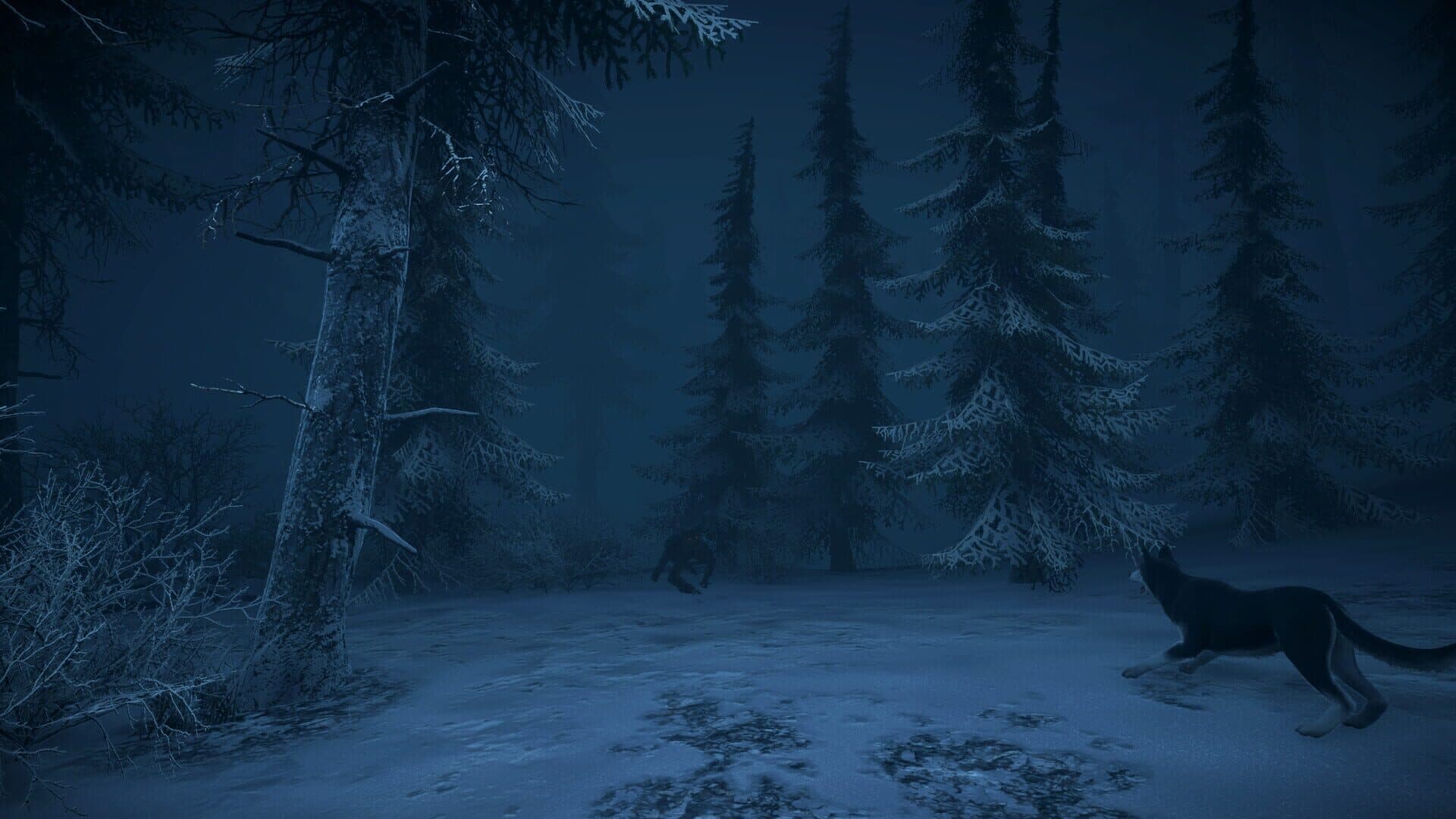 Screenshot for The Pale Mimic
