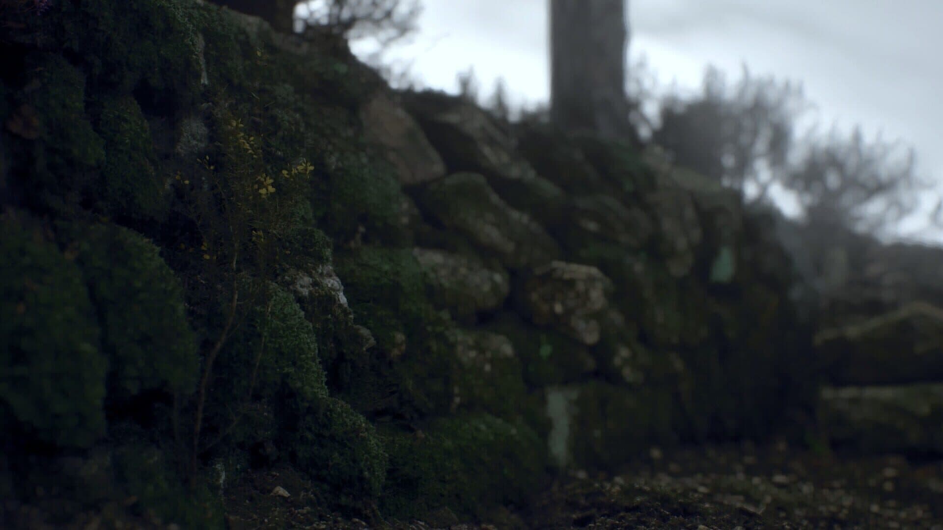 Screenshot for Ritual Tides