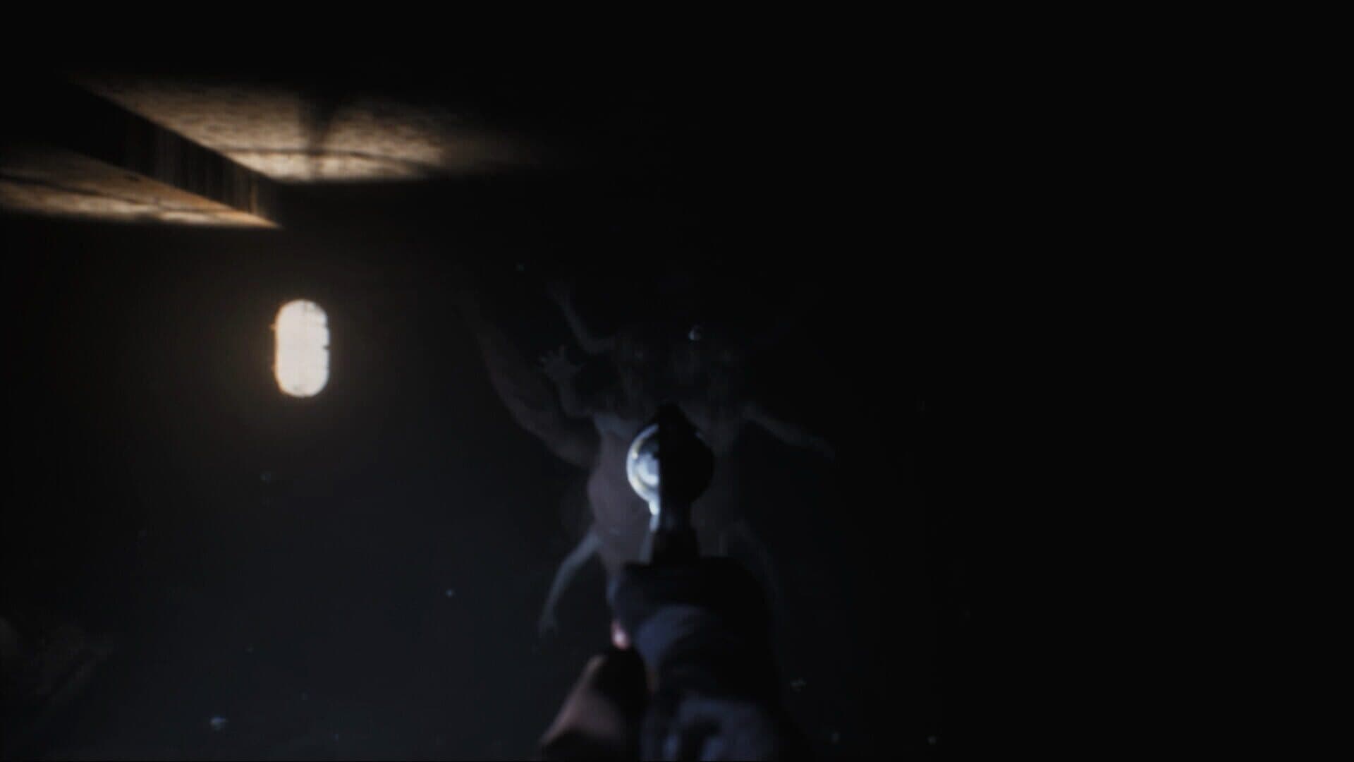 Screenshot for Black Lake