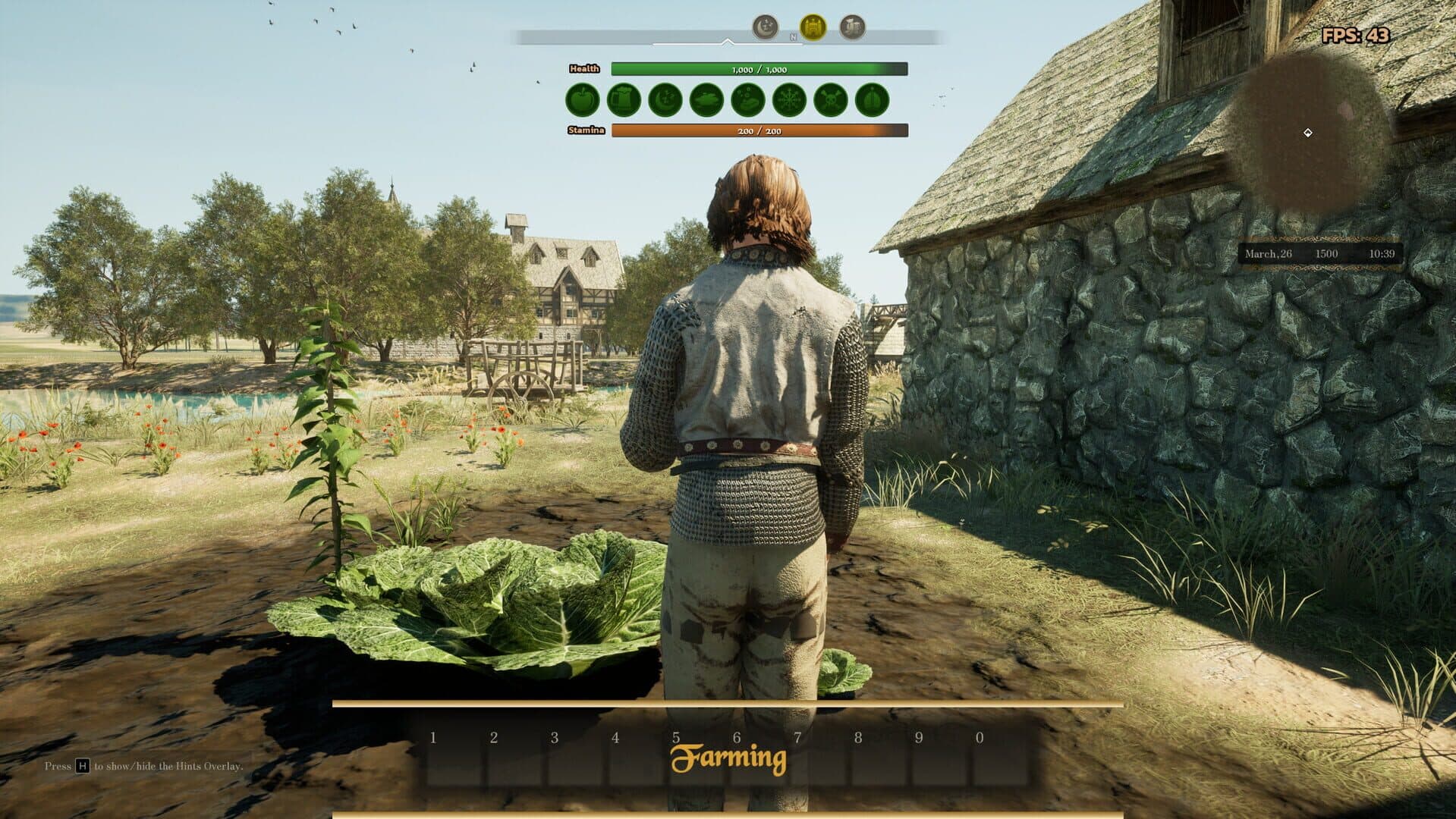 Screenshot for The Medieval Journey