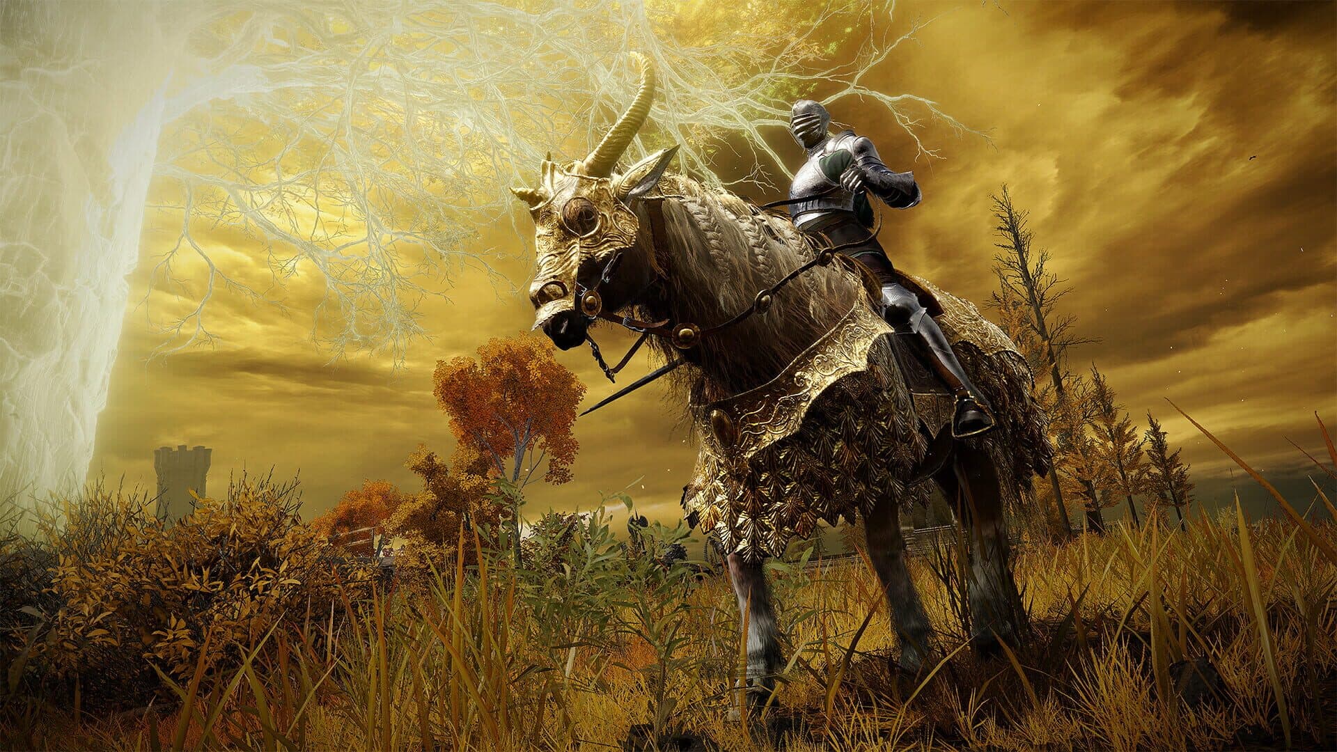 Screenshot for Elden Ring: Tarnished Pack