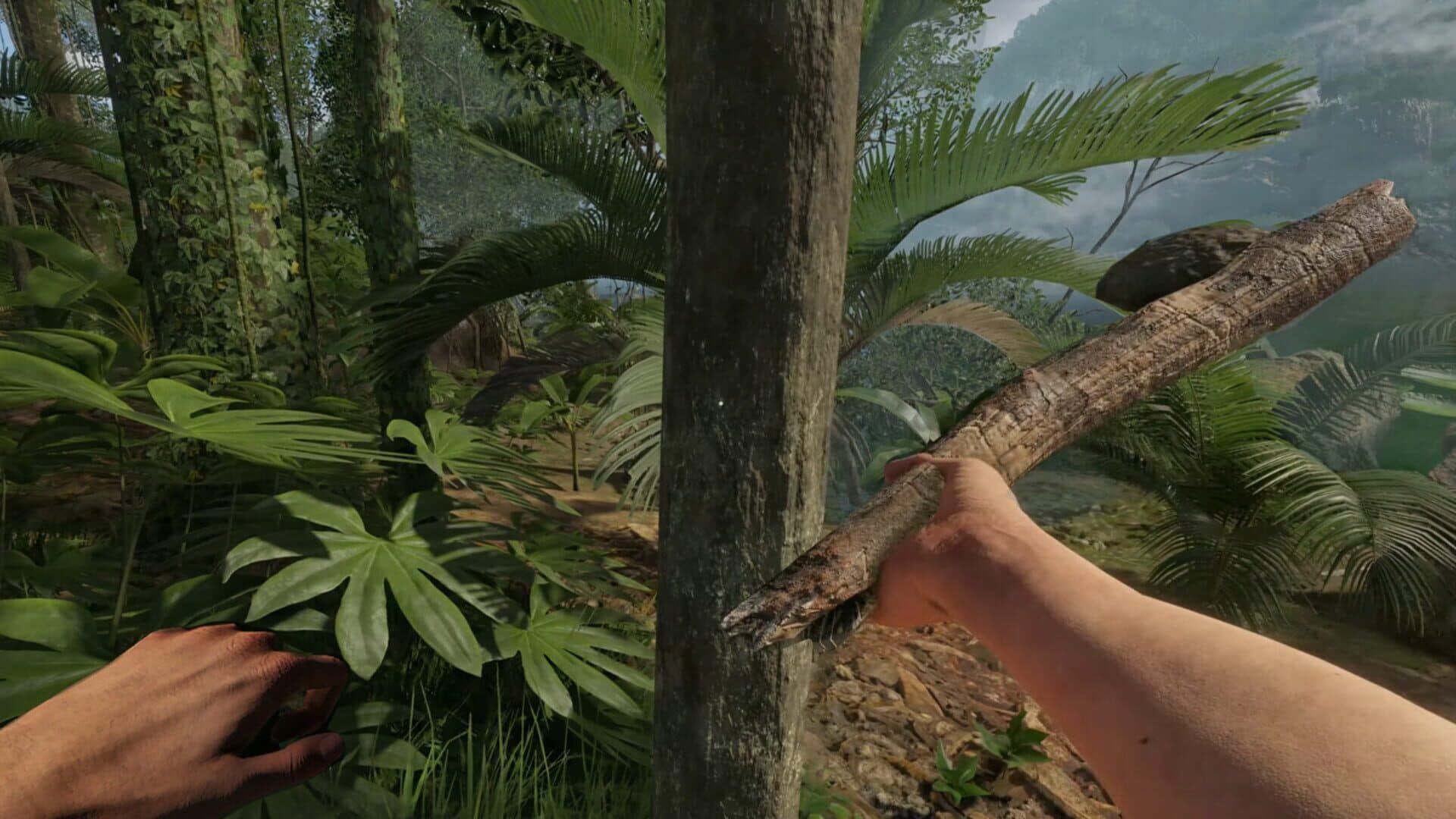 Screenshot for Green Hell VR