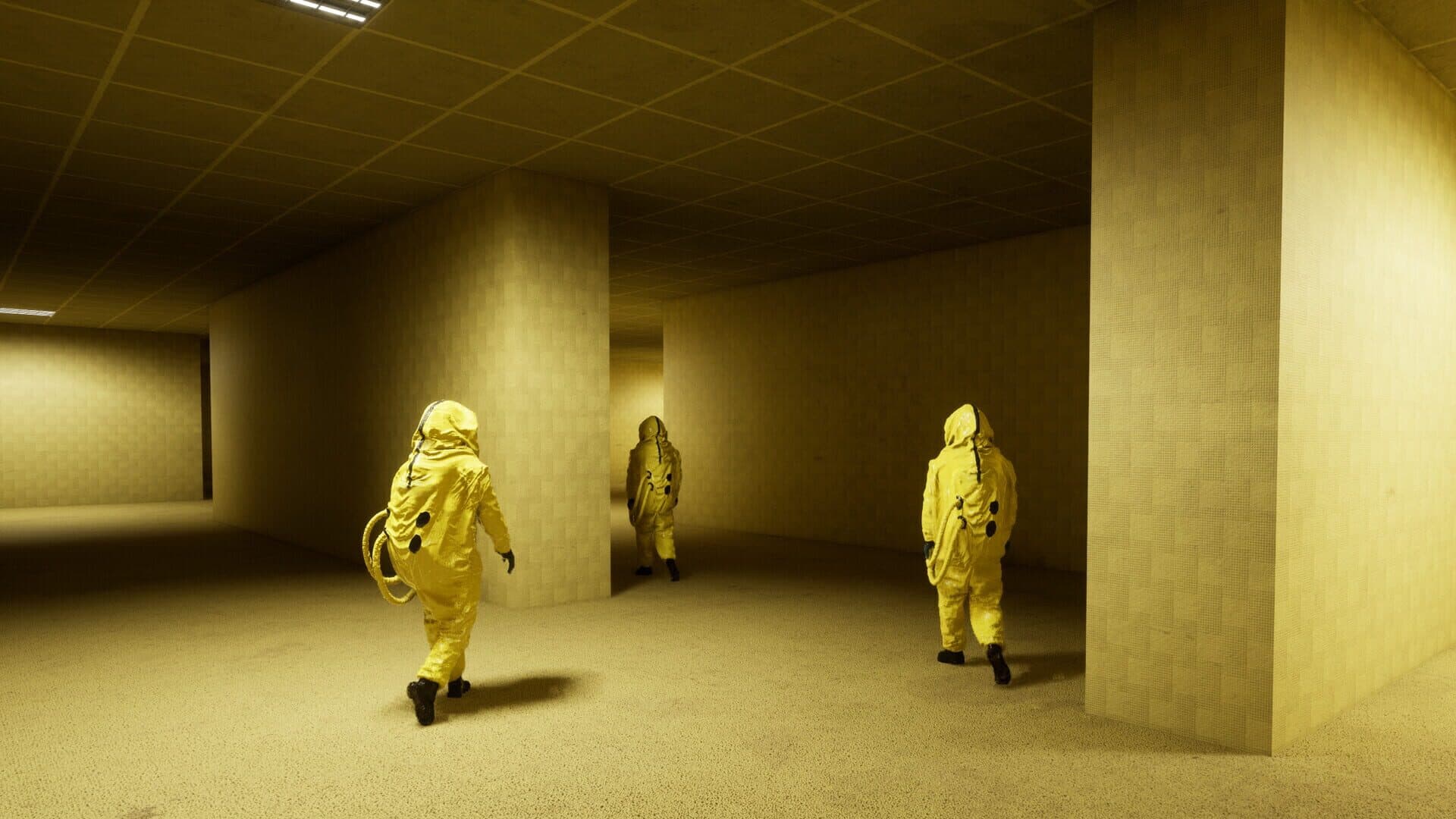 Screenshot for Backrooms: Escape Together