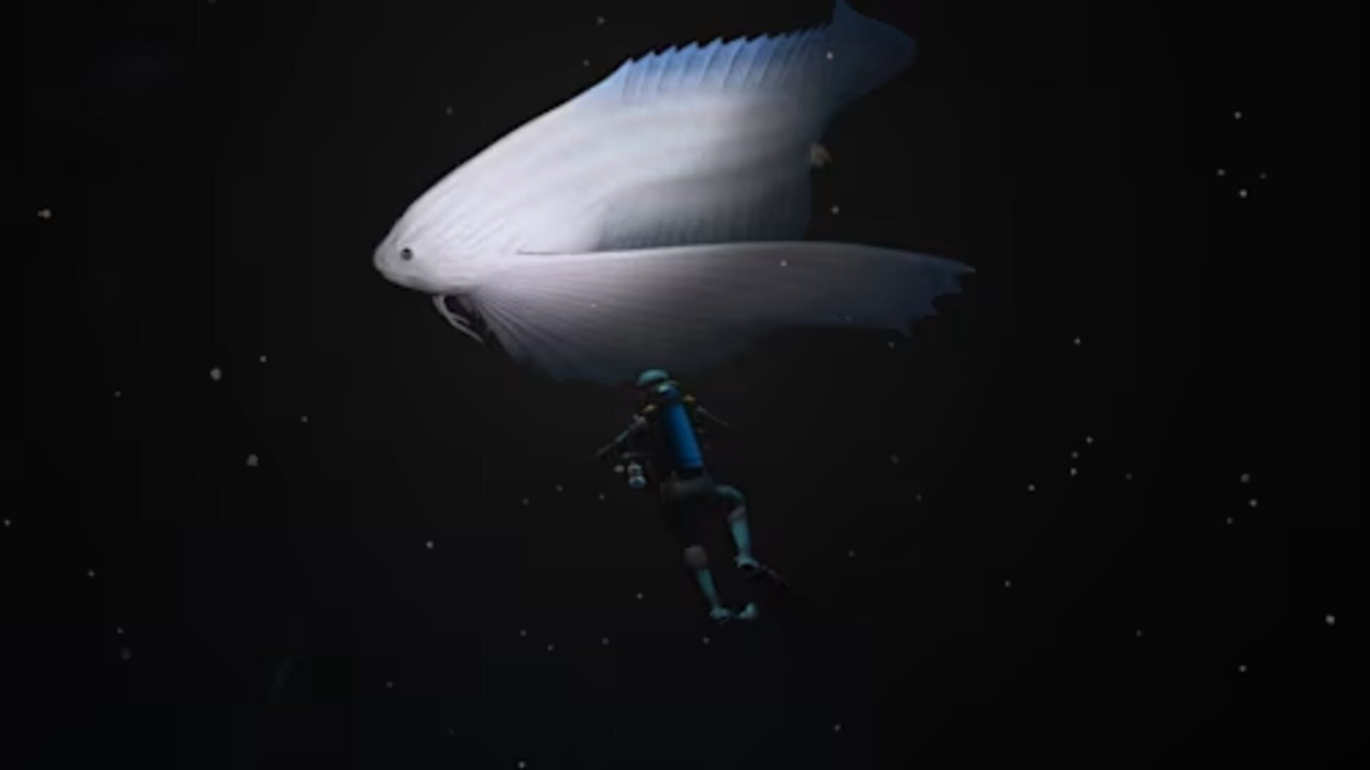Screenshot for Endless Ocean: Luminous